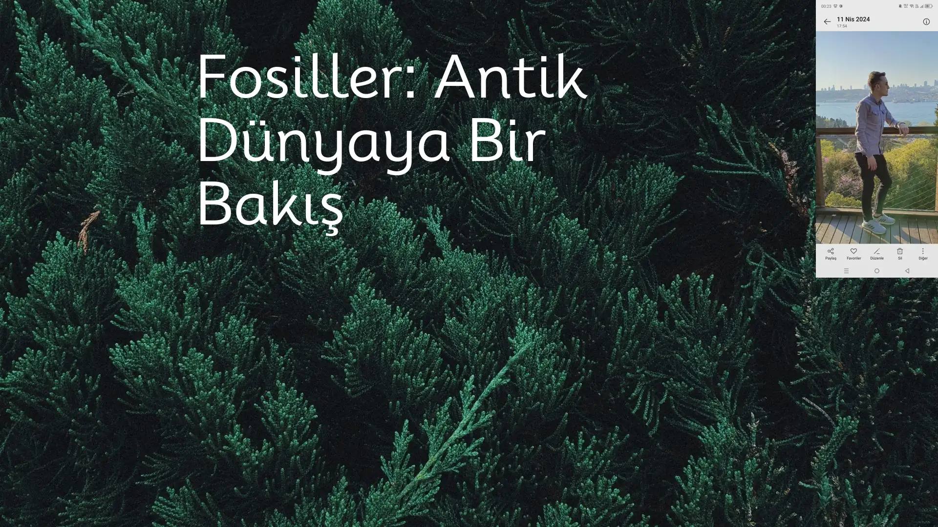 Fosiller Antik Dünyaya Bir Bakış Fosiller Antik Dünya Paleontoloji Tarih