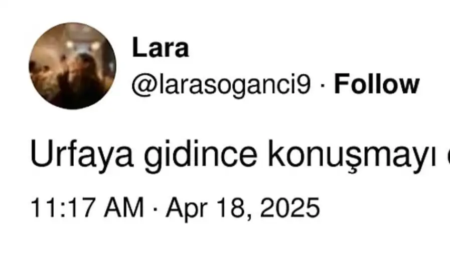 Mahmut Tanal'ın etsiz kebap tepkisi. Mahmut Tanal'ın etsiz kebap tepkisi.