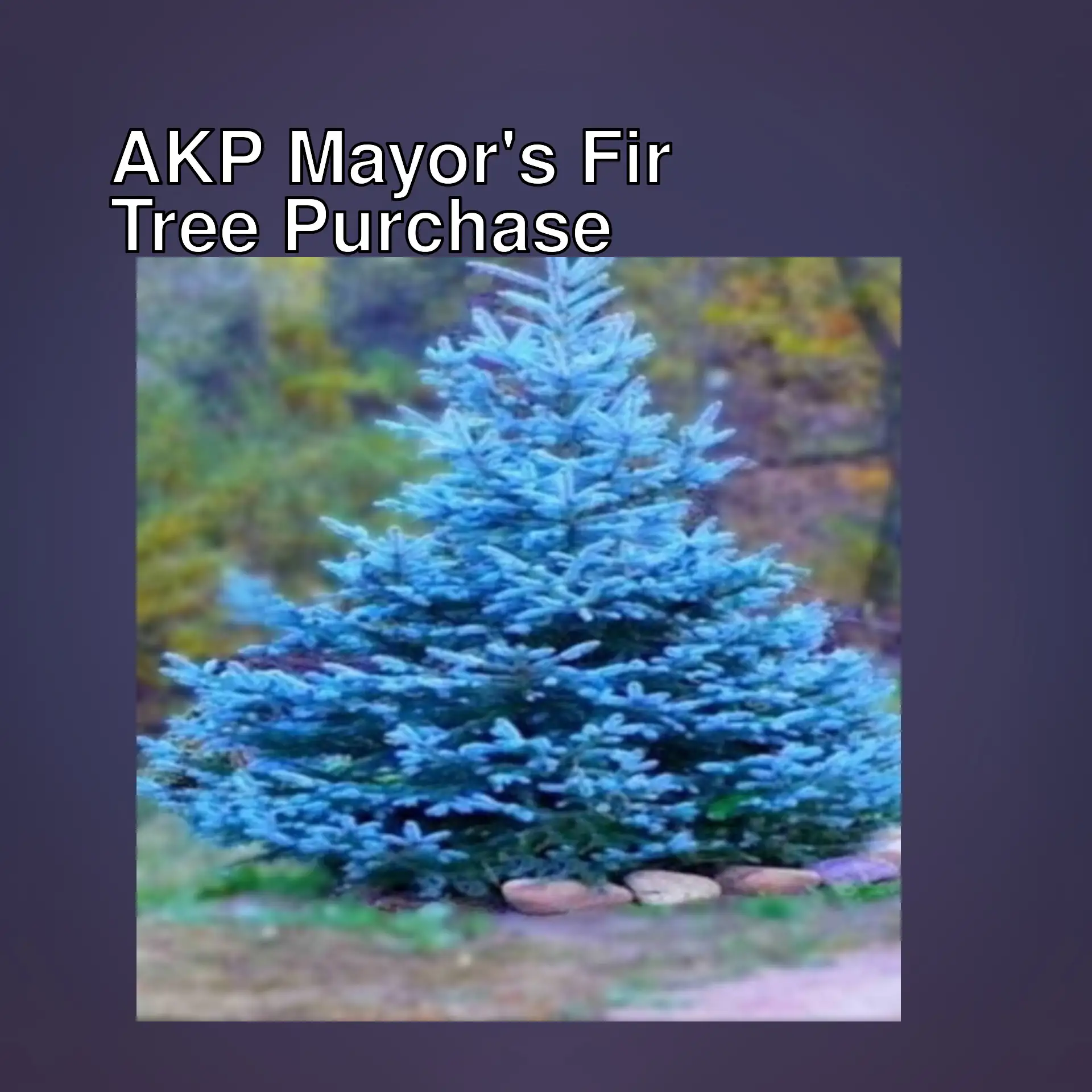 A blue tree in the woods