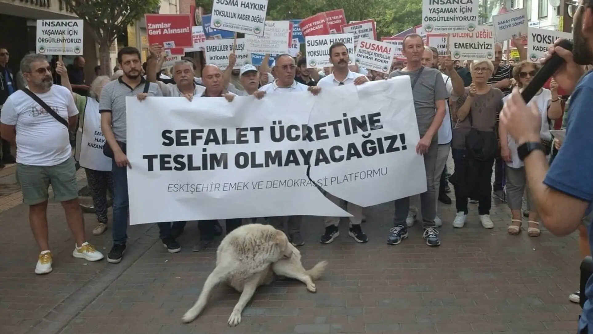 Bir grup insan pankart tutuyor ve yerde yatan bir köpek. Bir grup insan pankart tutuyor ve yerde yatan bir köpek.