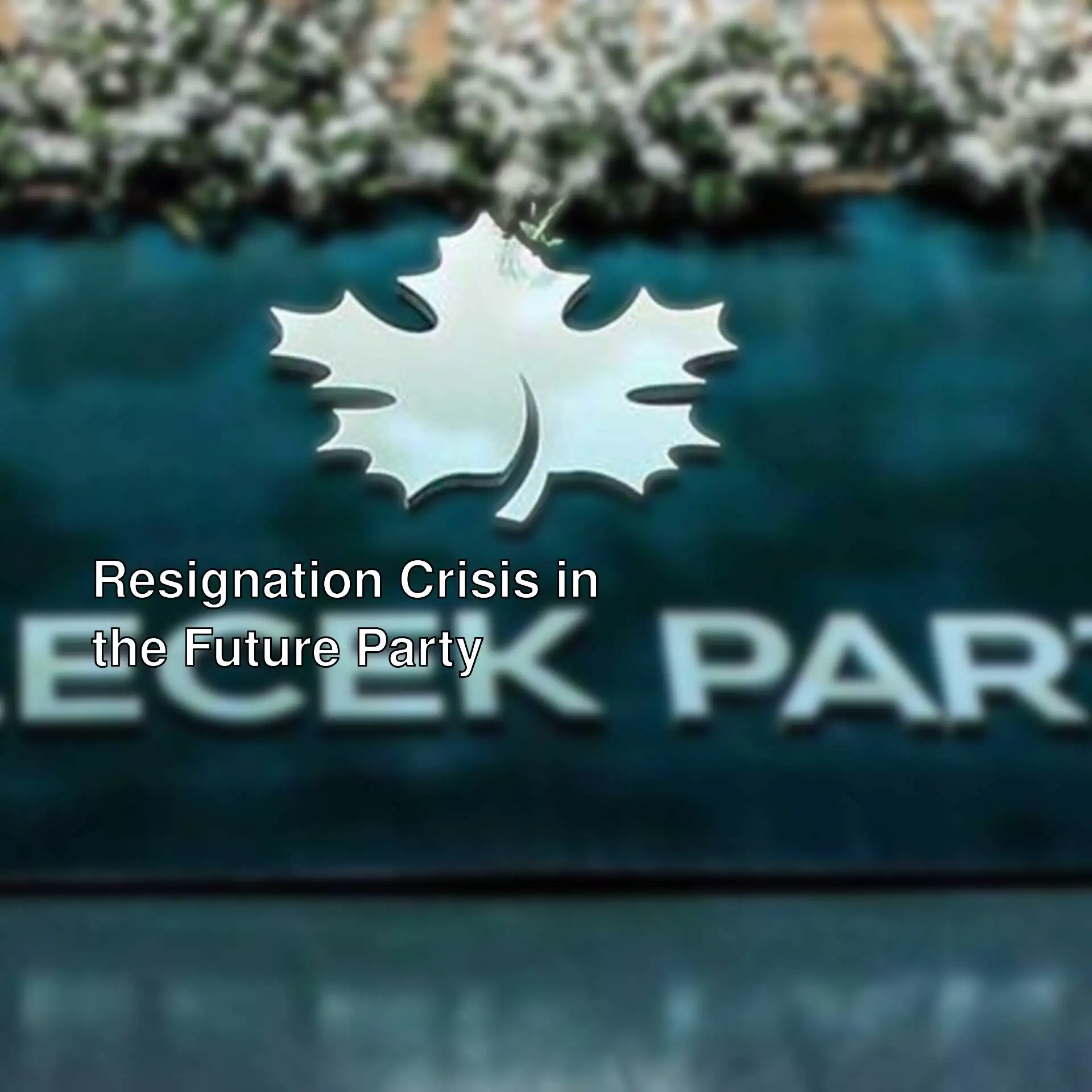 Information about the resigning MPs from the Future Party.