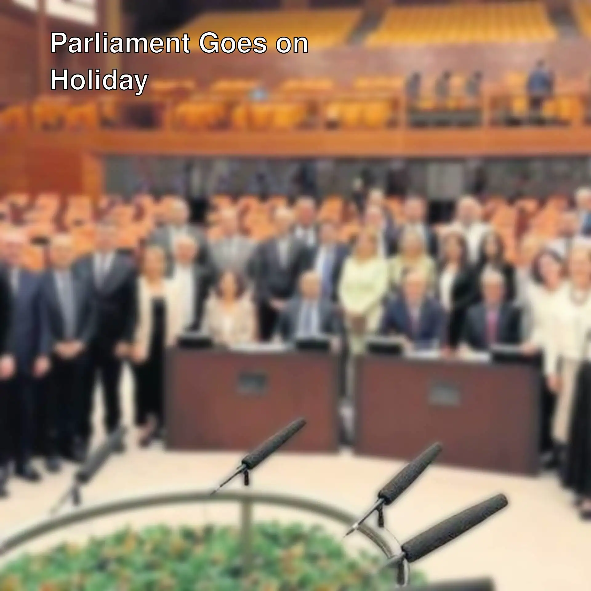 A view from the meeting held in the Parliament.