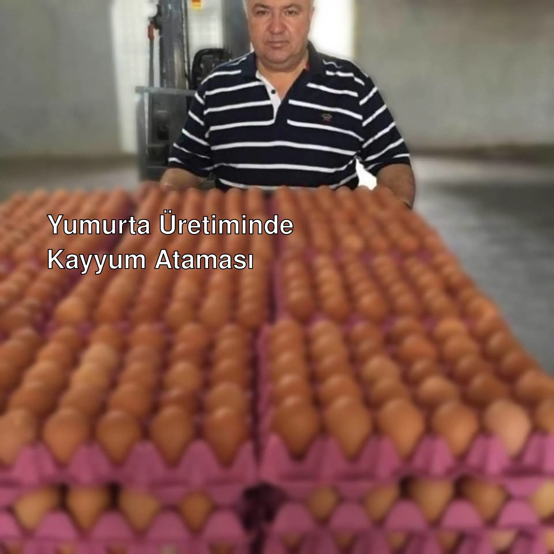 Haydar Kaya, YUMTAT firmasının sahibi. Haydar Kaya, YUMTAT firmasının sahibi.