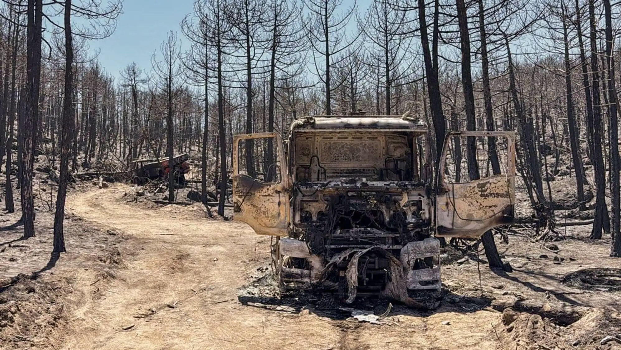 A burned out truck in the forest.