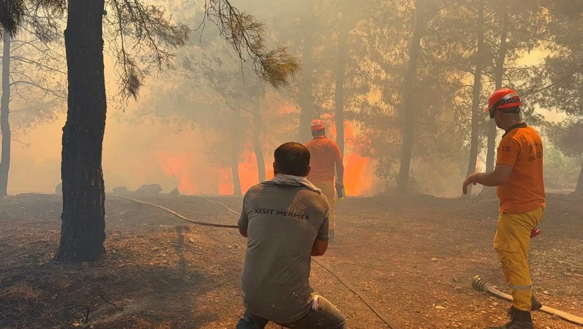 A group of men in orange shirts and hats fighting a forest fire.