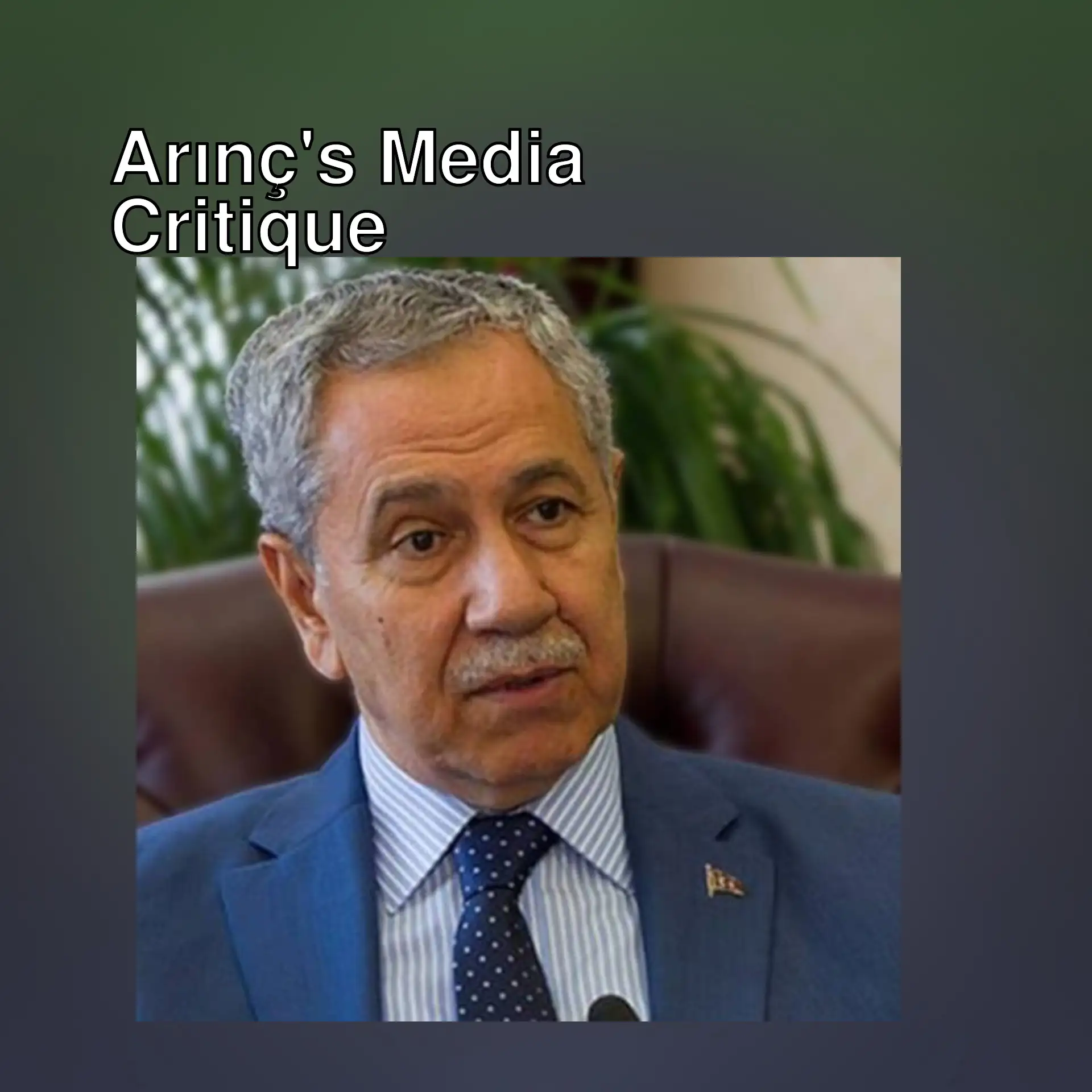 Bülent Arınç criticizes government media. Bülent Arınç criticizes government media.