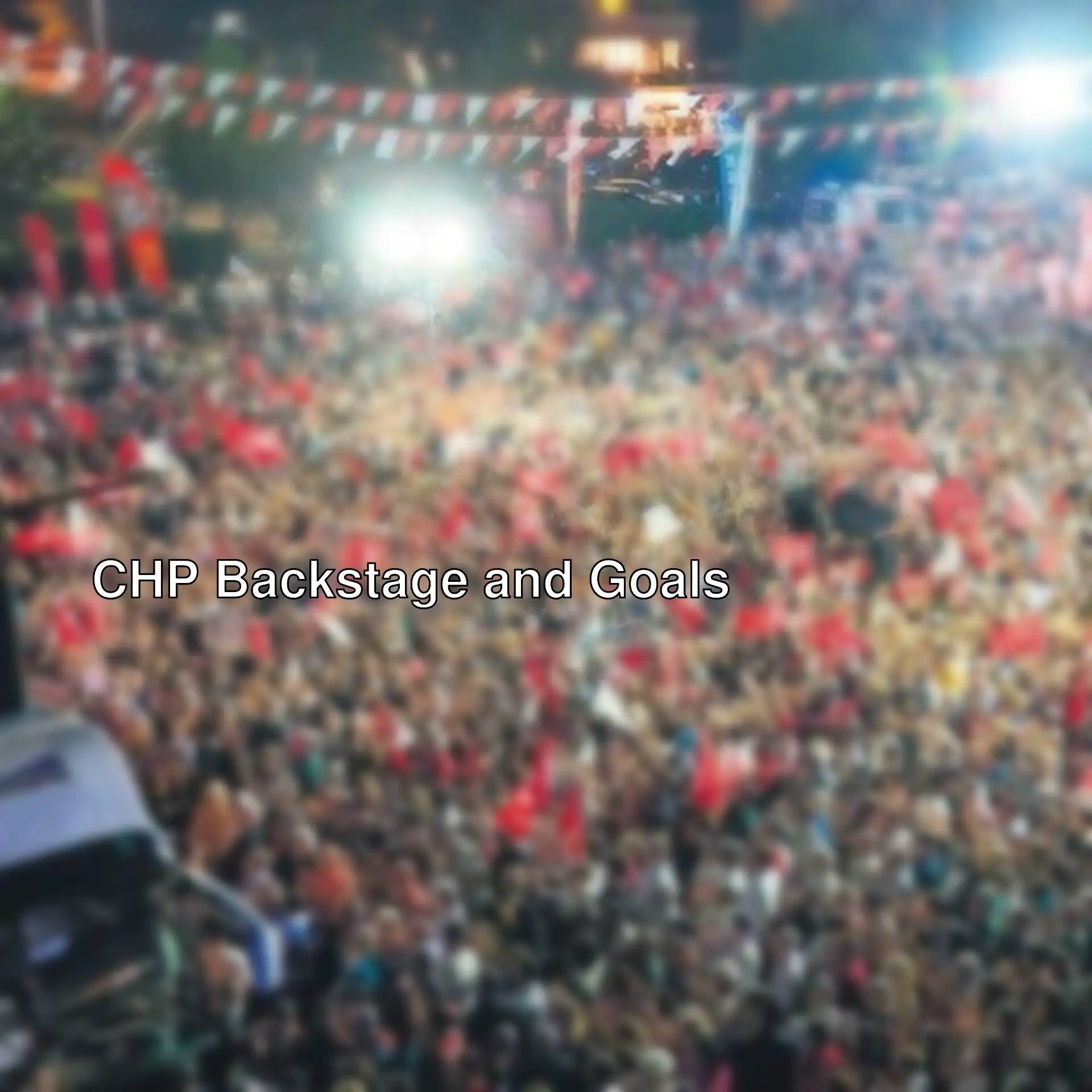 A large crowd of people with flags. A large crowd of people with flags.