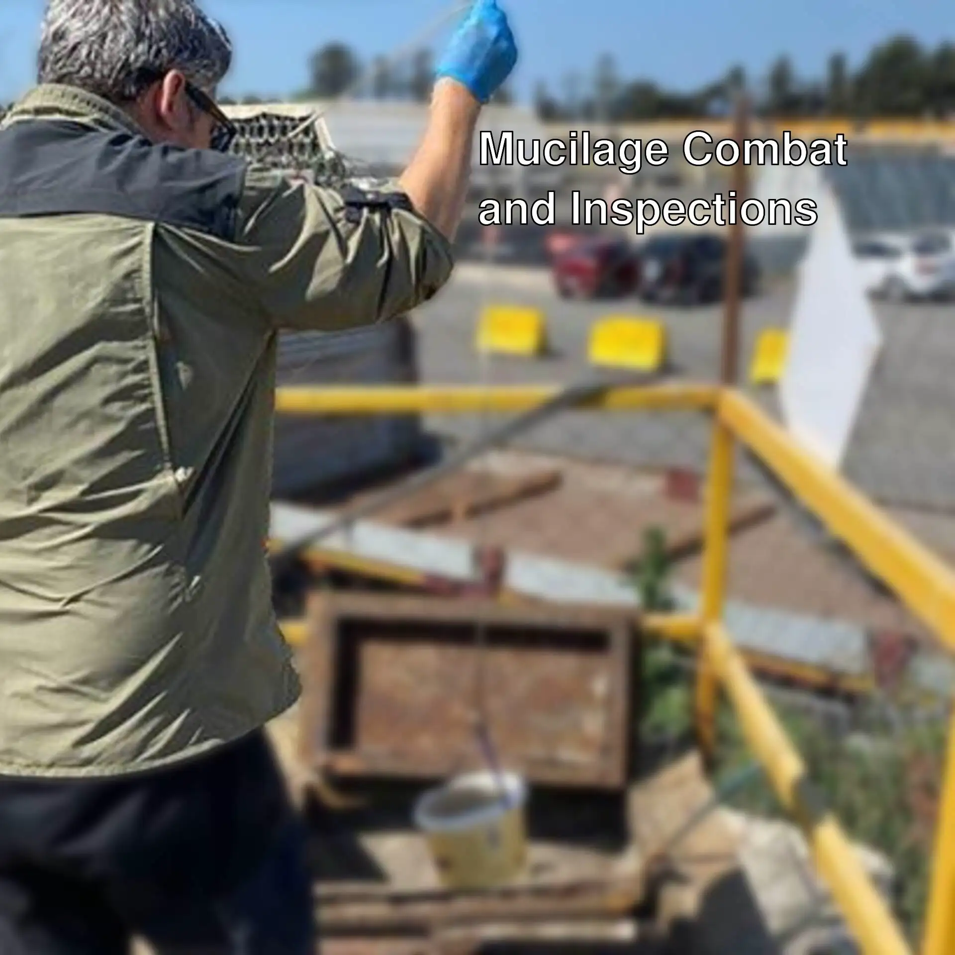Efforts against mucilage in the Marmara Sea. Efforts against mucilage in the Marmara Sea.