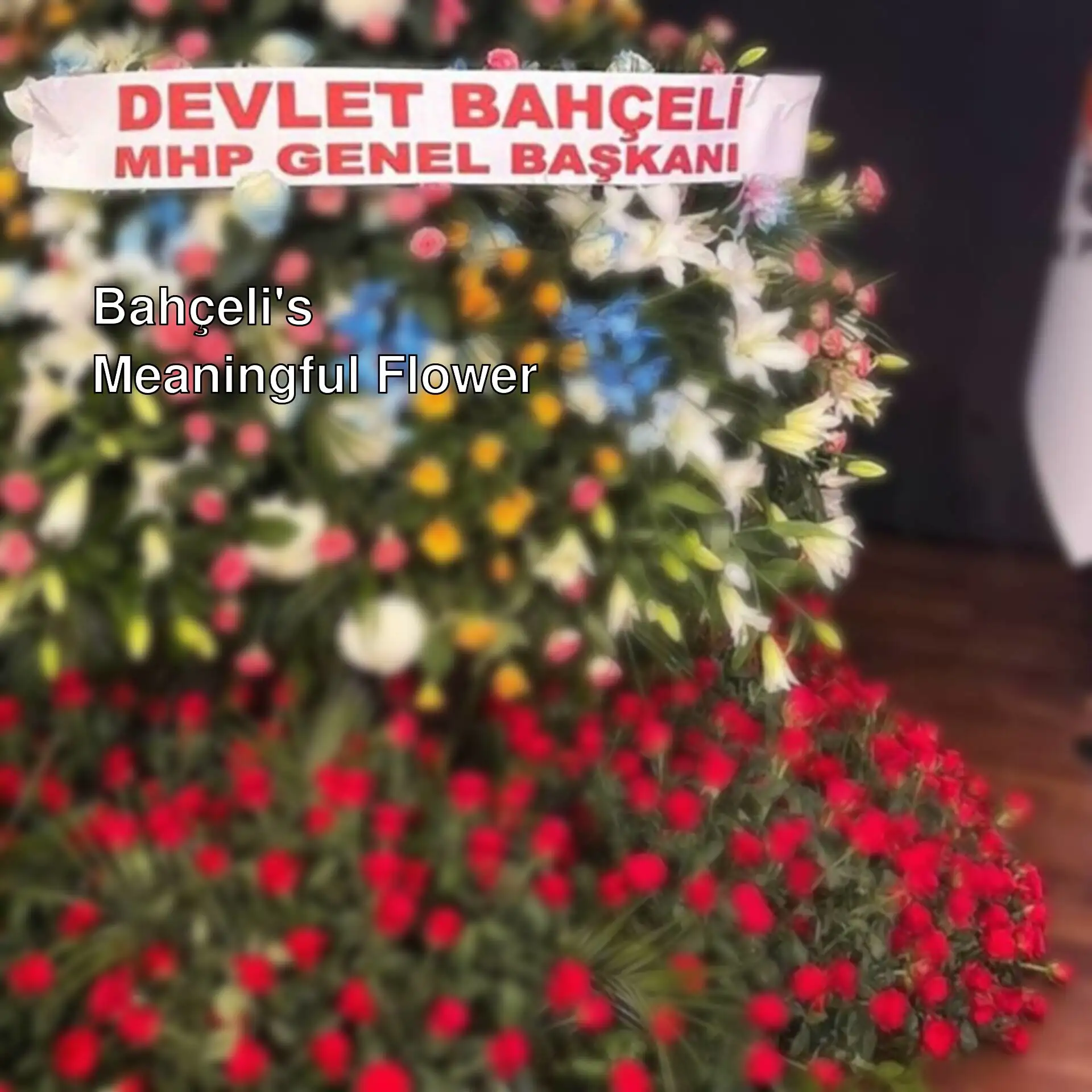 Devlet Bahçeli sent flowers for the AK Party's anniversary. Devlet Bahçeli sent flowers for the AK Party's anniversary.