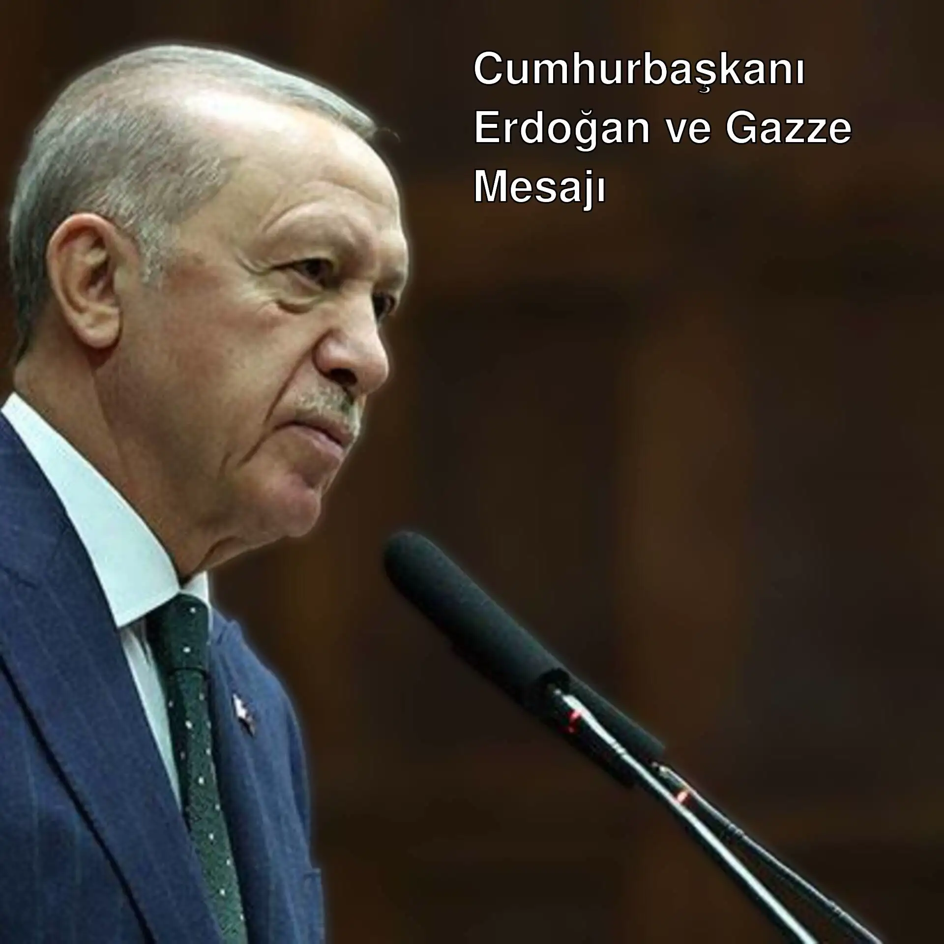 Cumhurbaşkanı Erdoğan, konuşma yaparken.