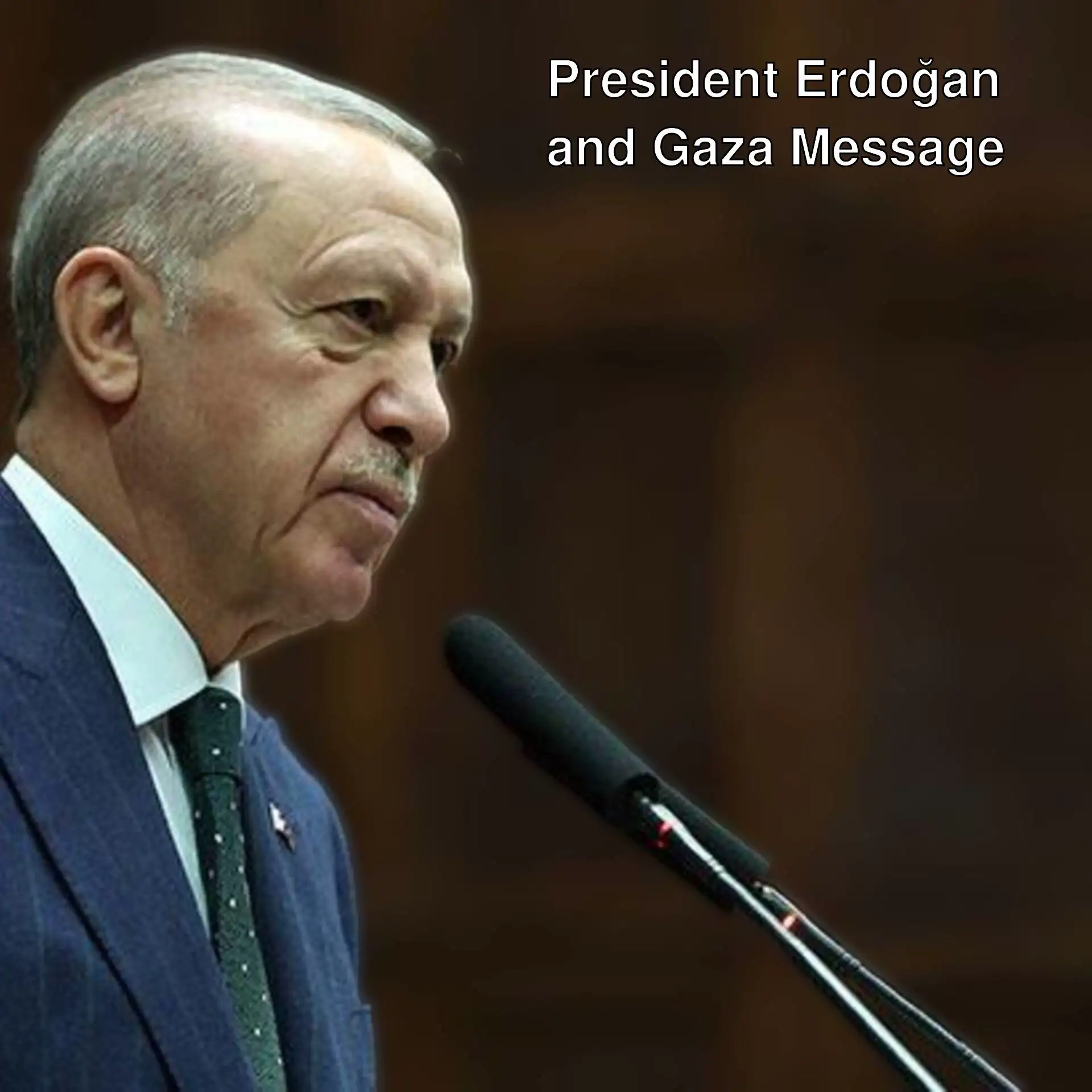 President Erdoğan speaking at an event.
