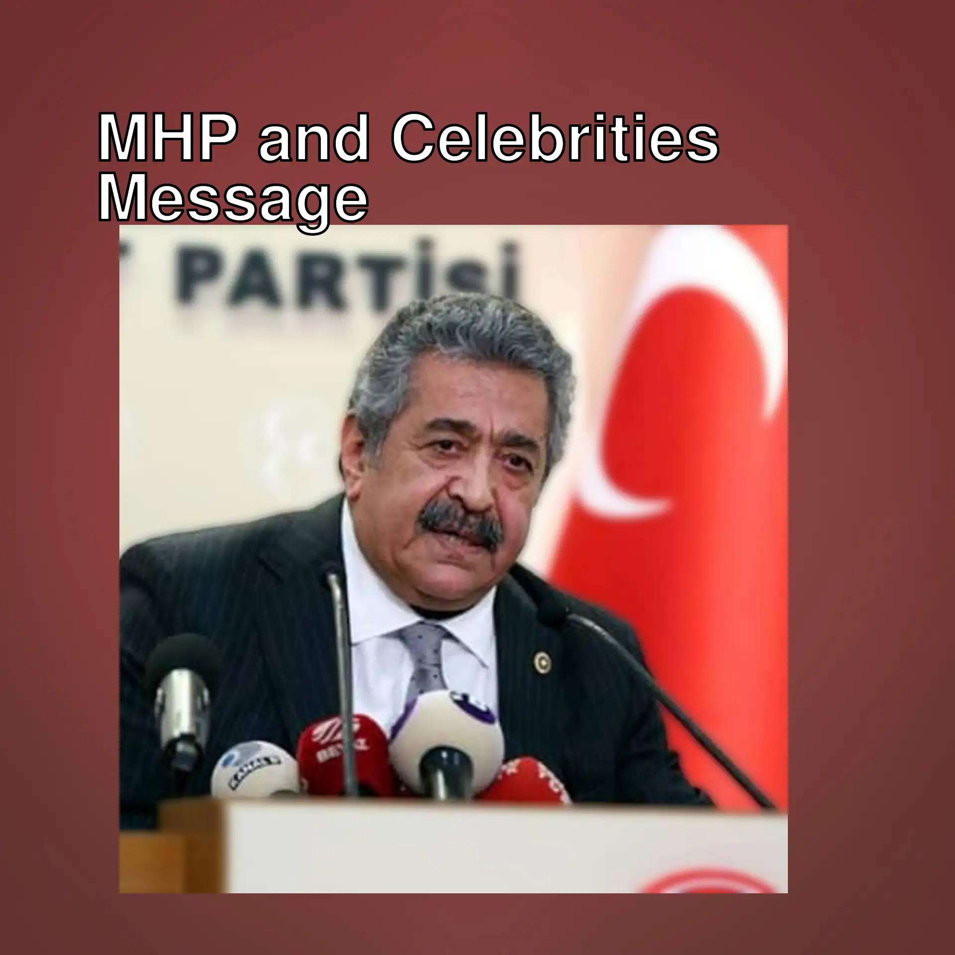 MHP Vice President Feti Yıldız at a press conference. MHP Vice President Feti Yıldız at a press conference.