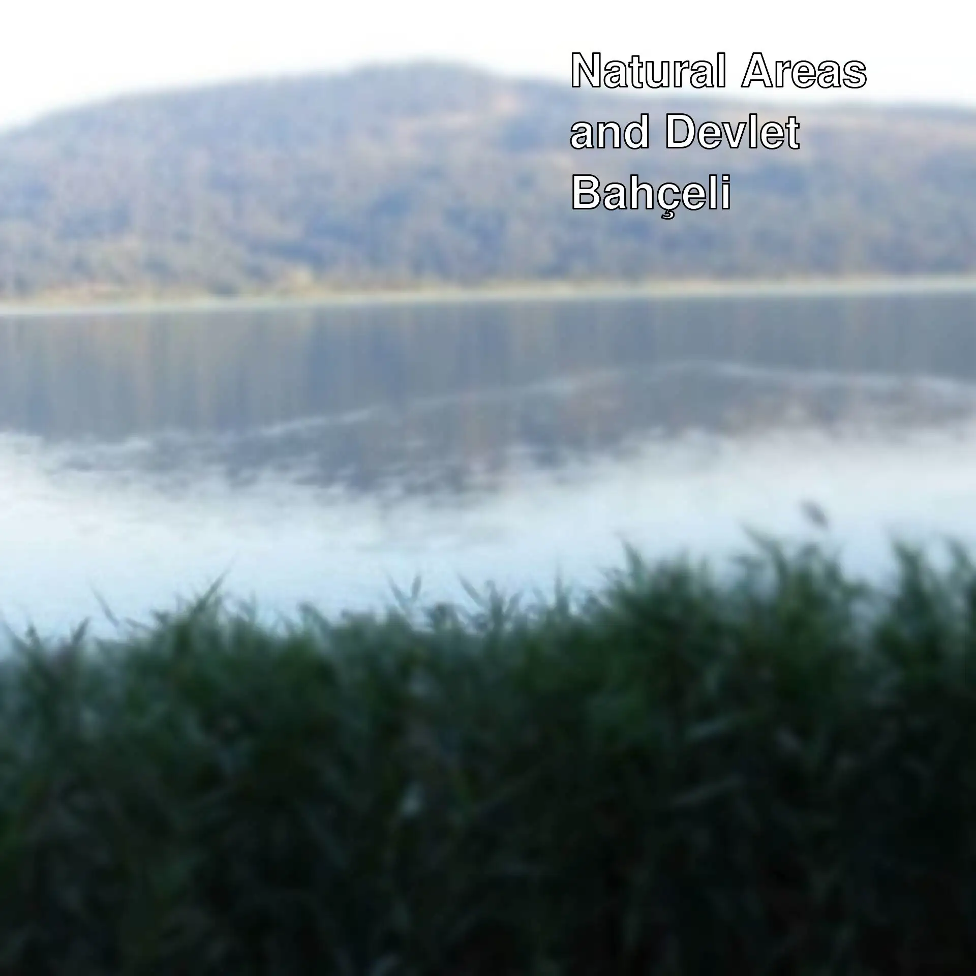 An image related to the protection of natural areas.