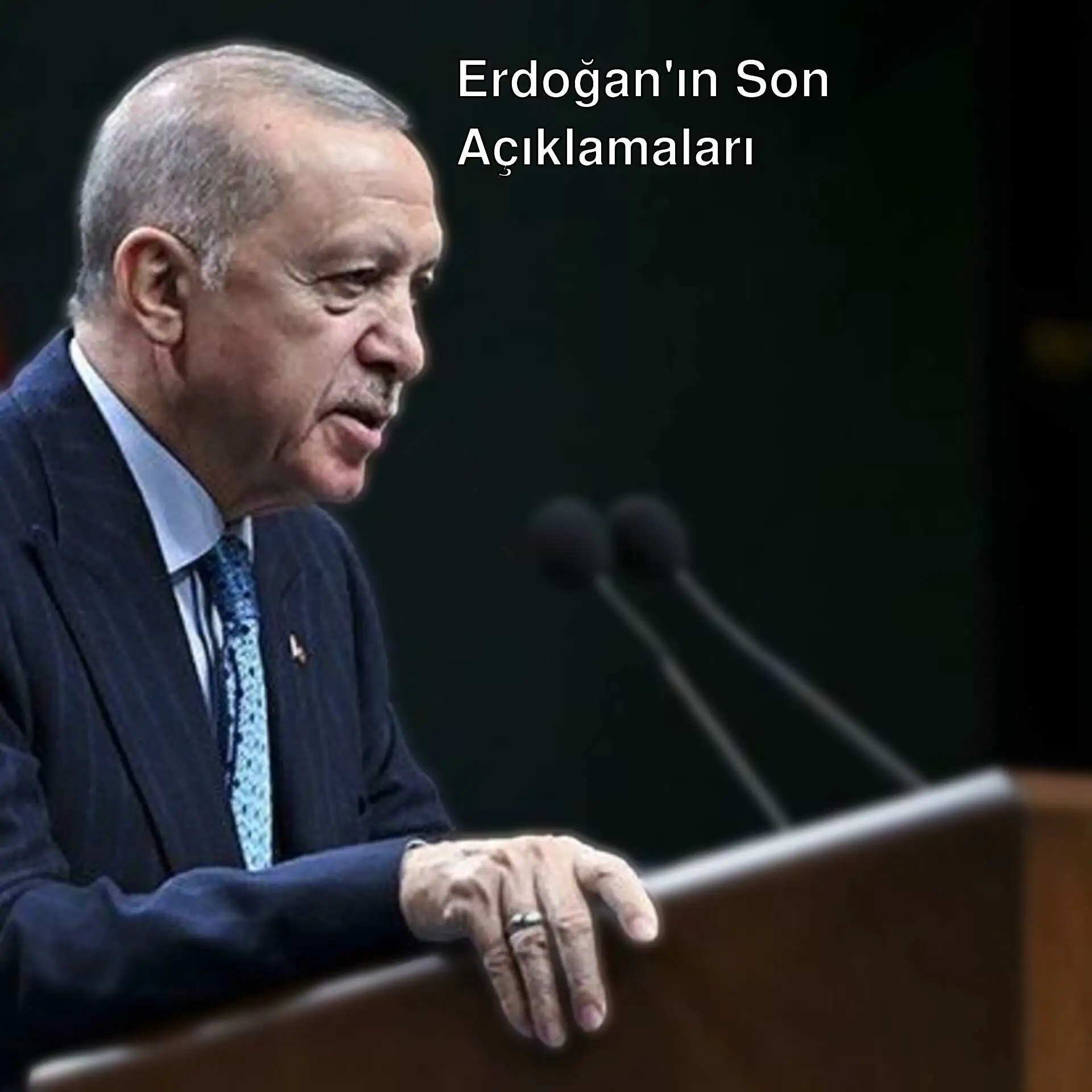 Cumhurbaşkanı Erdoğan mikrofonla konuşuyor.