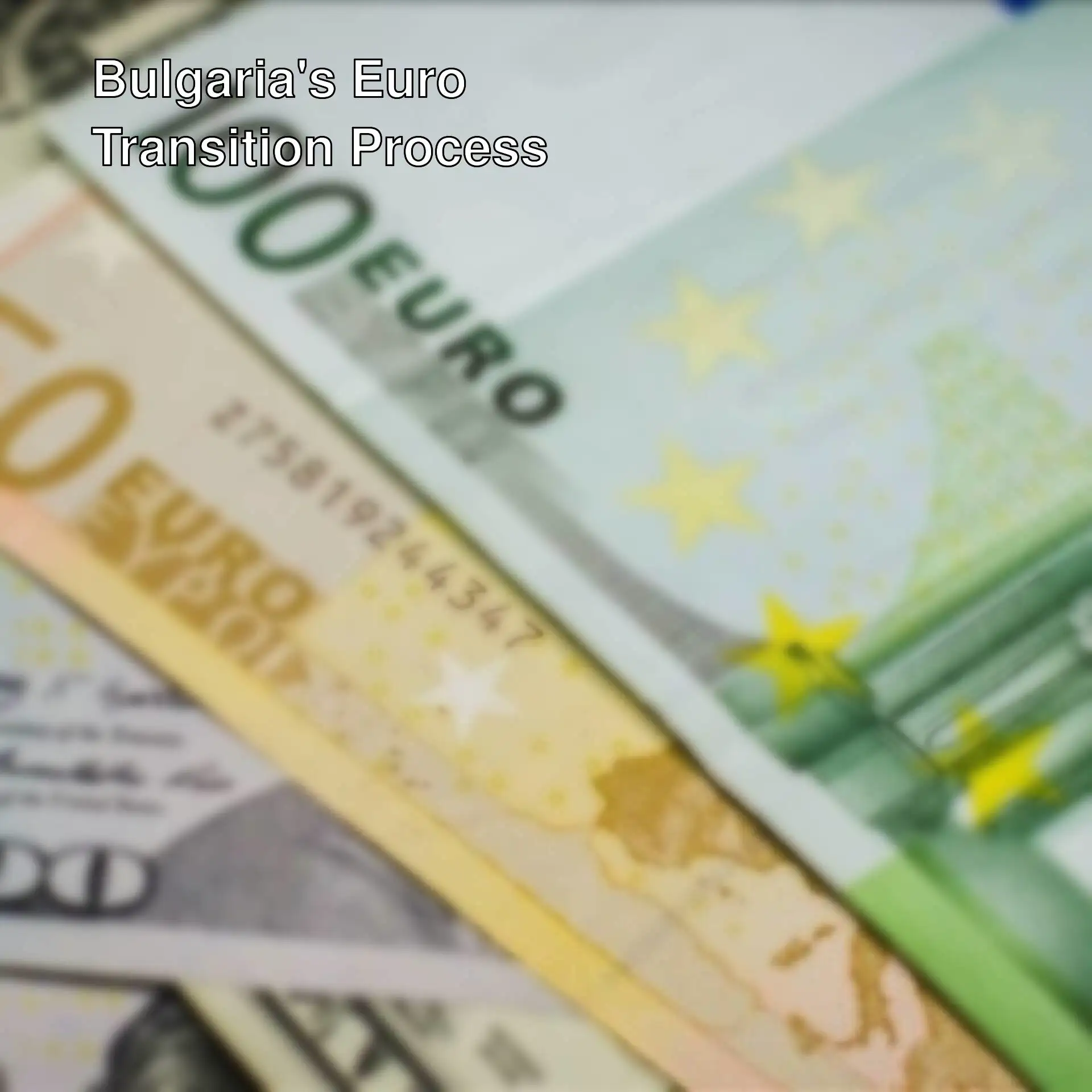 Currency related to the transition to Euro. Currency related to the transition to Euro.