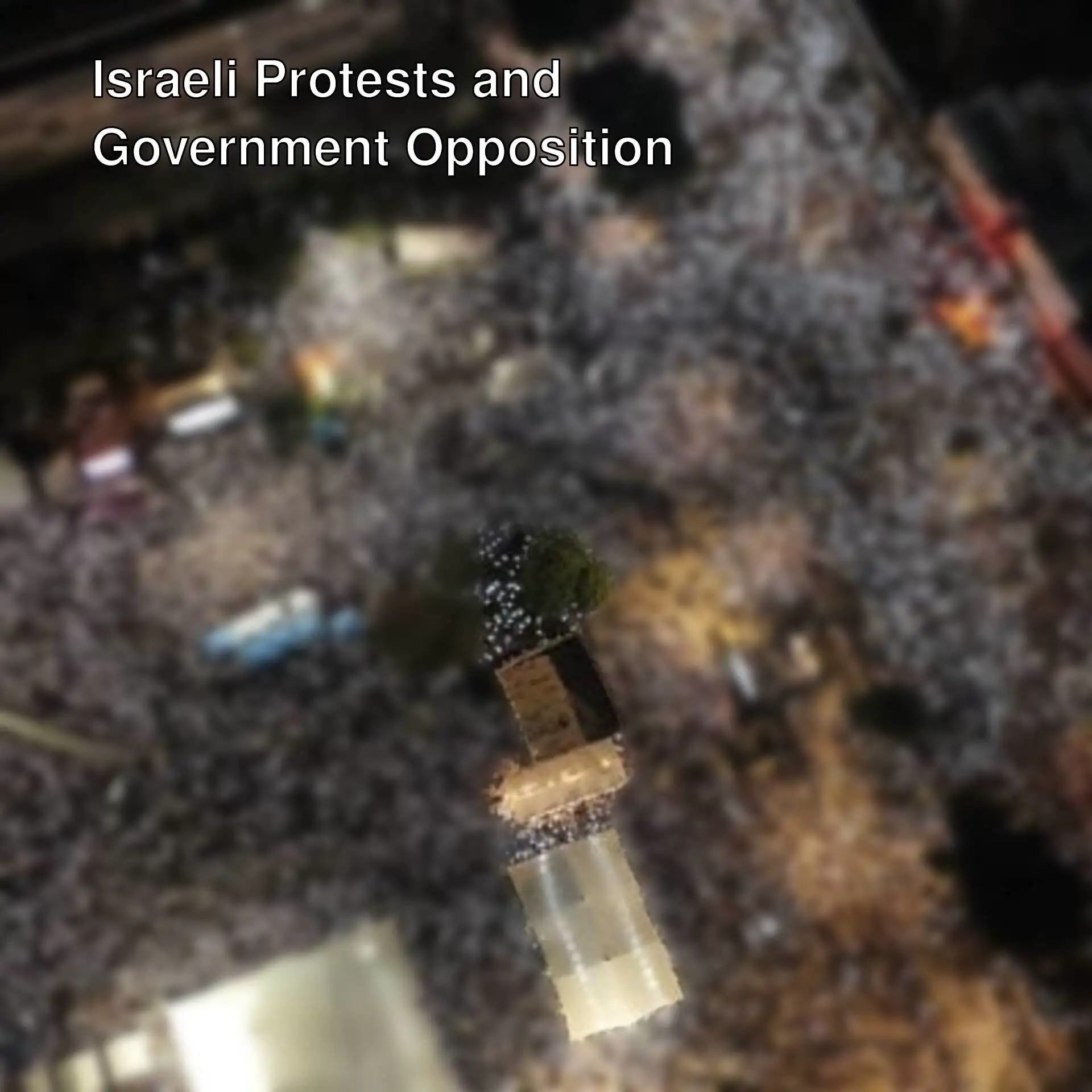 A large crowd protesting in Israel. A large crowd protesting in Israel.