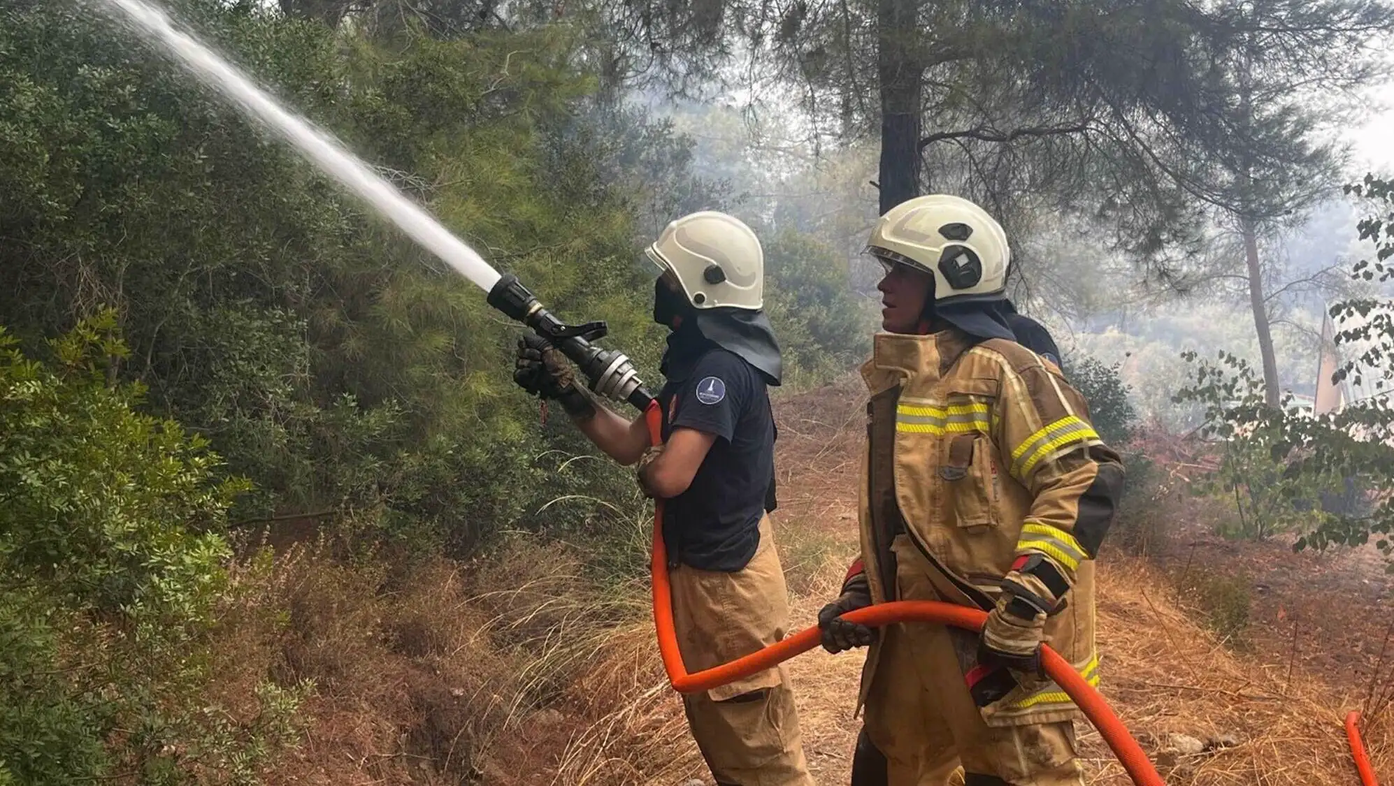 A couple of firefighters spraying water on a forest. A couple of firefighters spraying water on a forest.