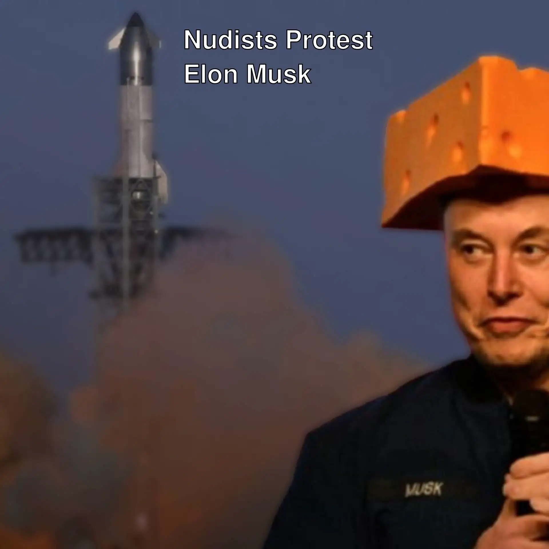 A man protesting against Elon Musk.