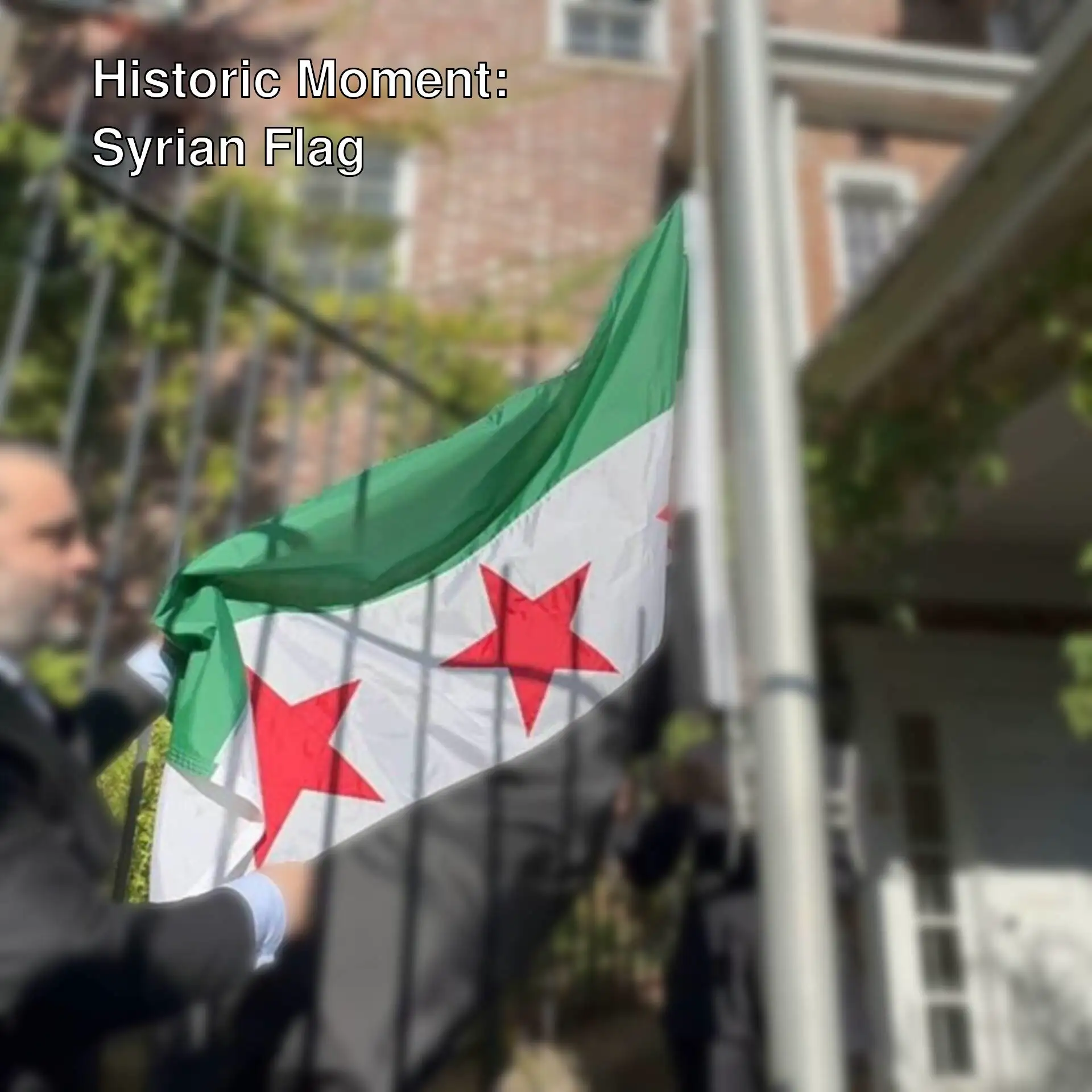 A man holding the Syrian flag.