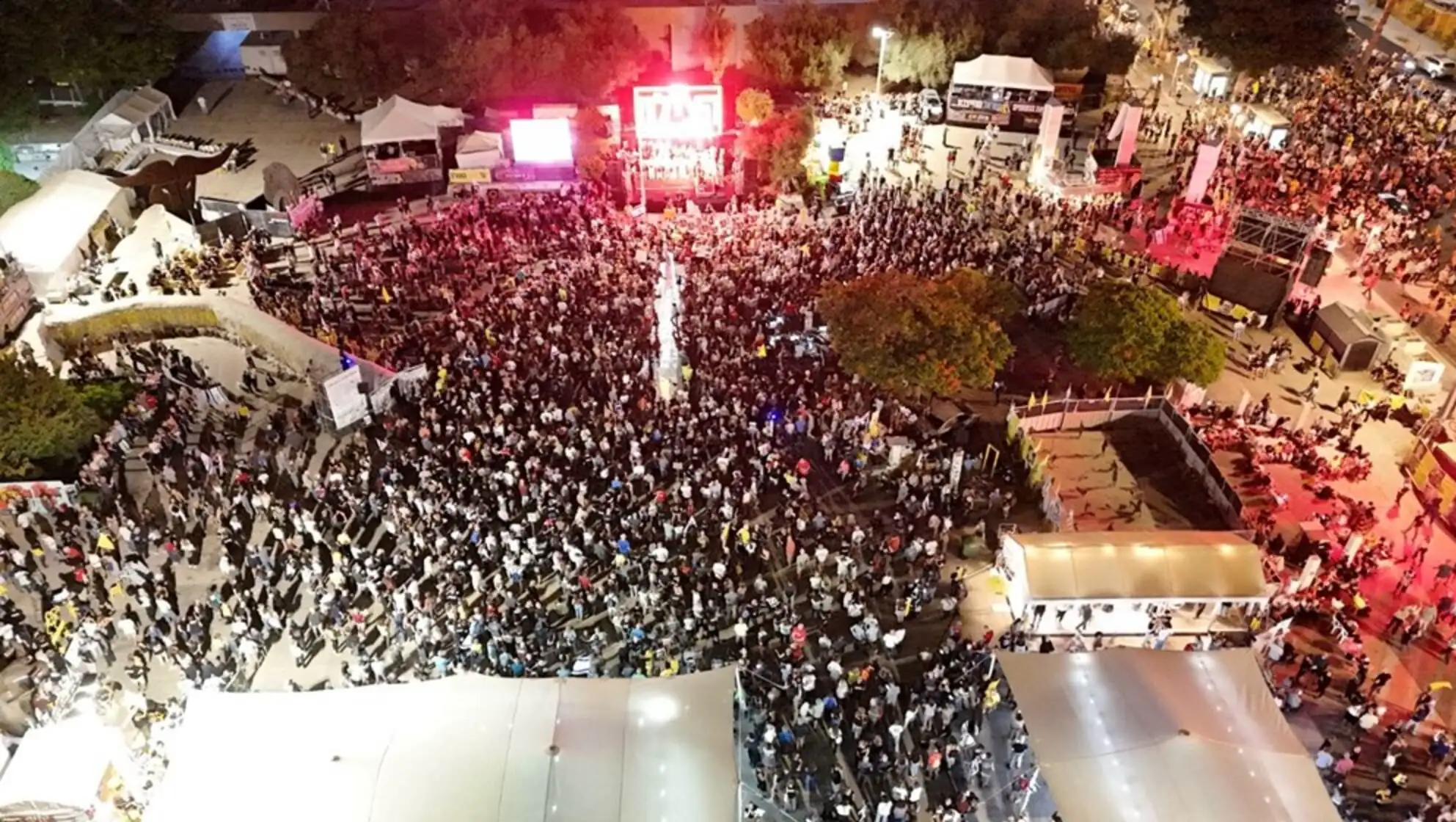 A large crowd during the protest.