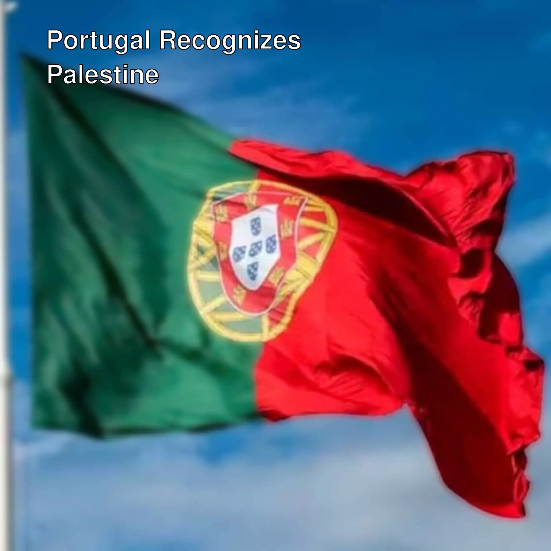 Flag of Portugal