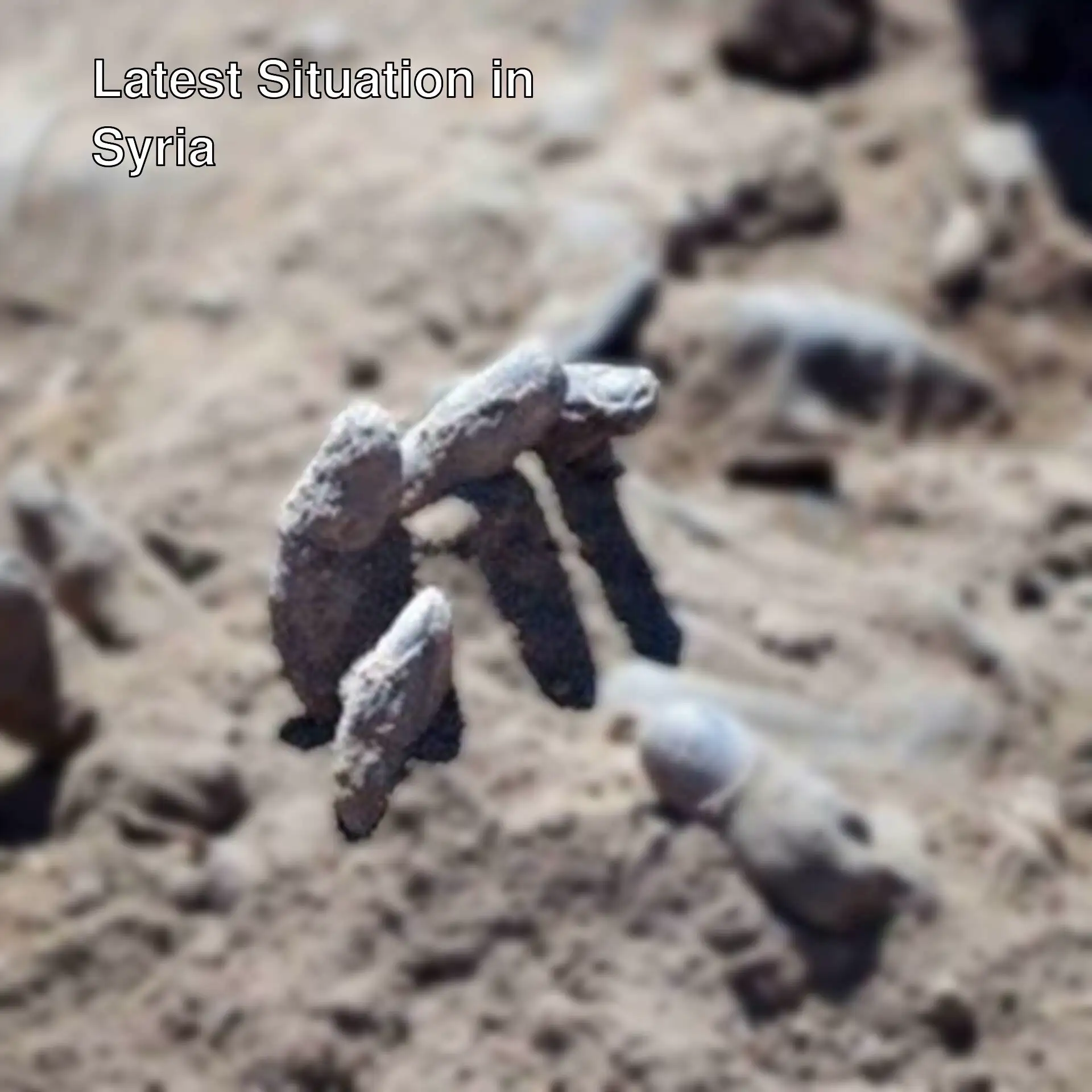 Mass grave found in Syria.
