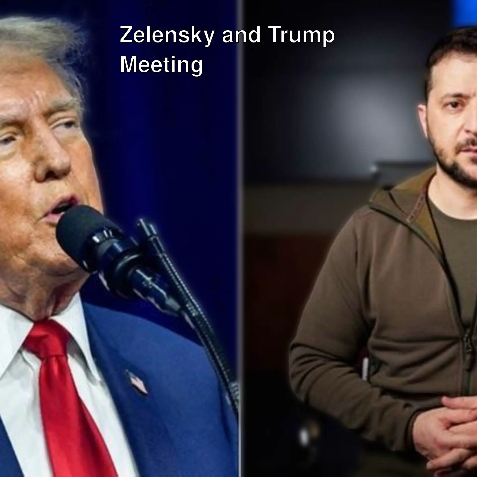 Zelensky met with Trump.