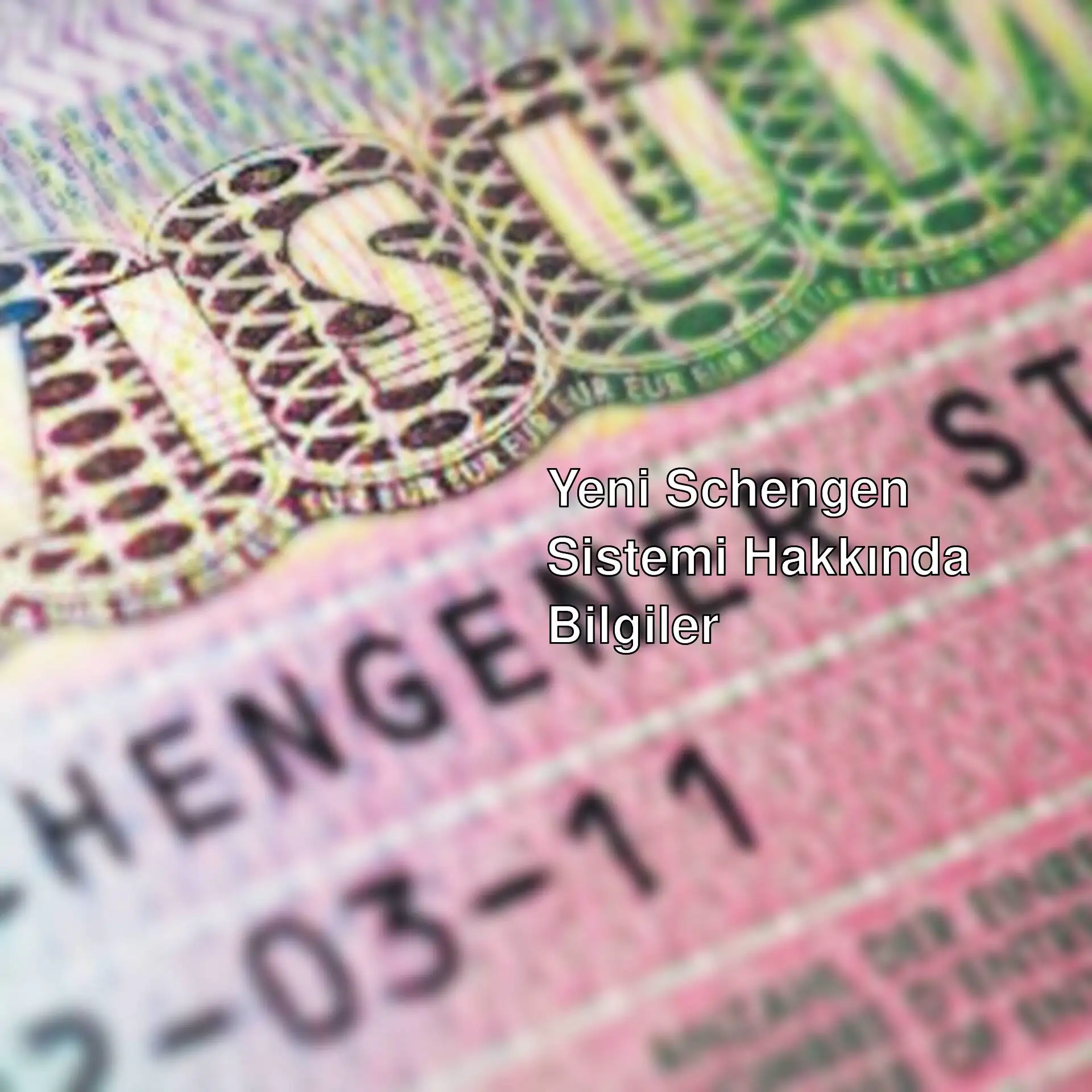 Pasaportun yakın çekimi.