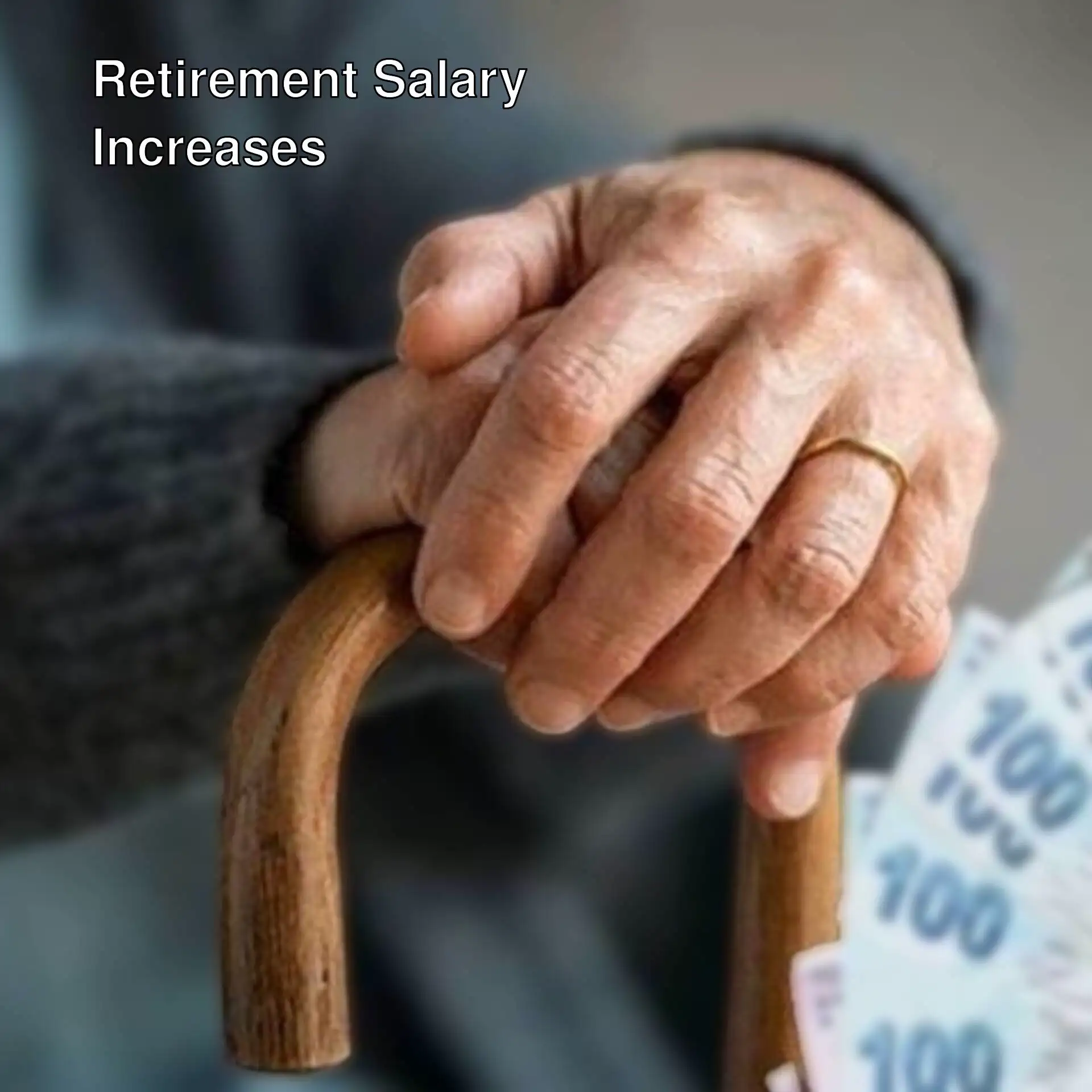A person holding money in their hand.