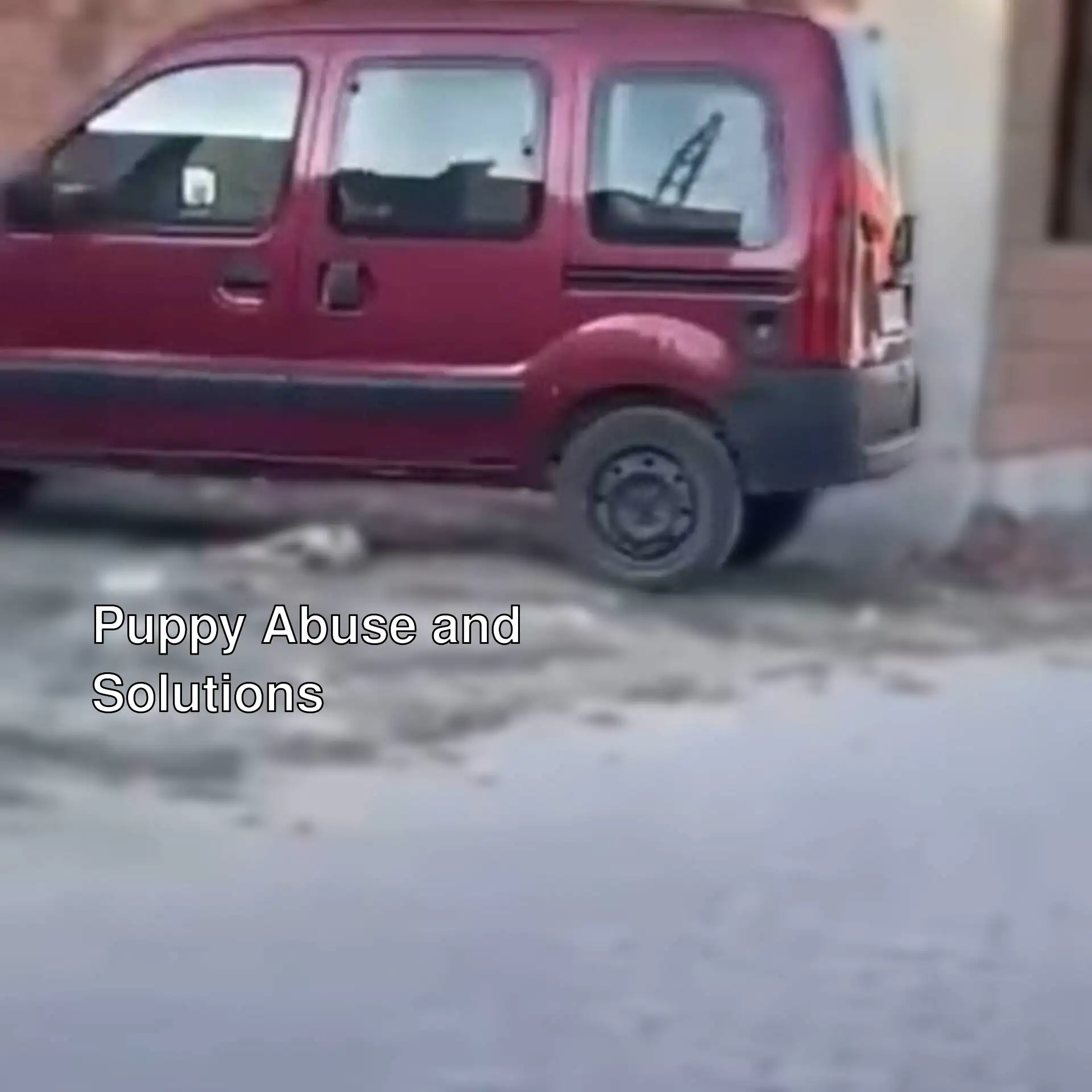 Cruelty was inflicted on a puppy. Cruelty was inflicted on a puppy.