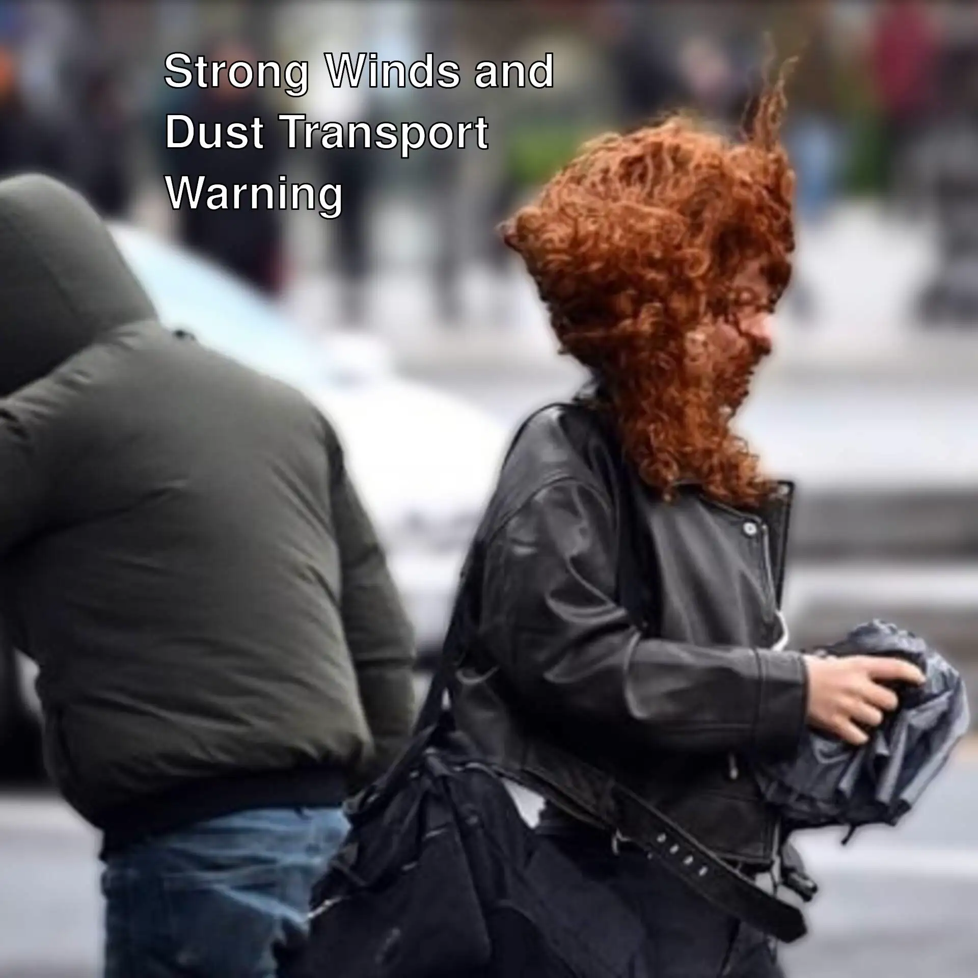 Strong wind warning