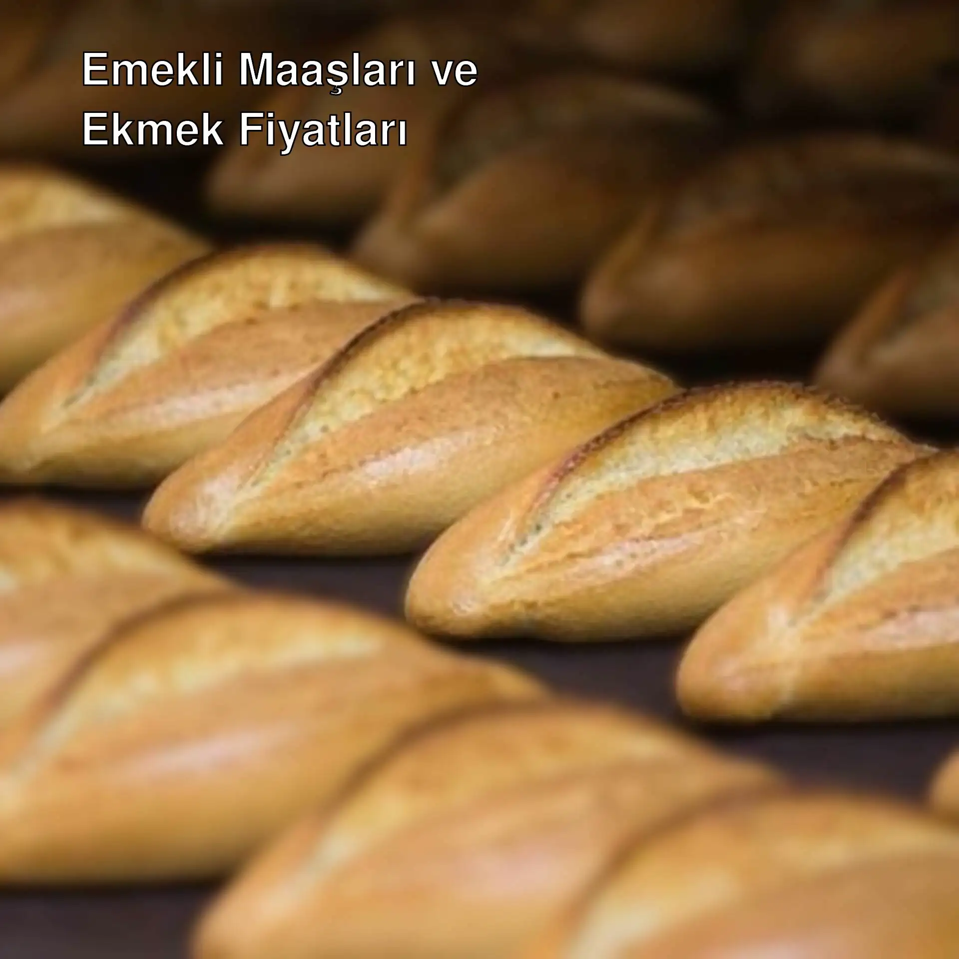 Ekmek fiyatları artarken emekli maaşları düşüyor. Ekmek fiyatları artarken emekli maaşları düşüyor.