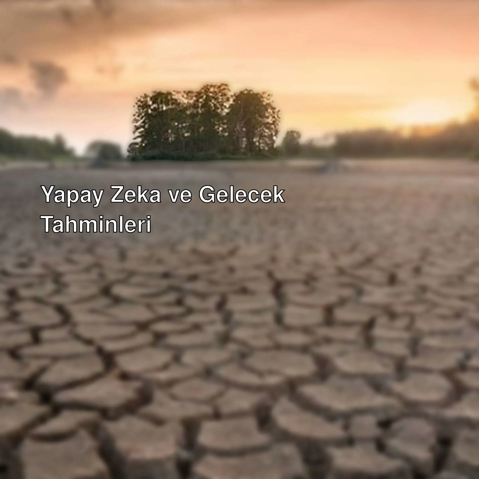 Kuru çatlamış toprak ve arka planda ağaçlar.