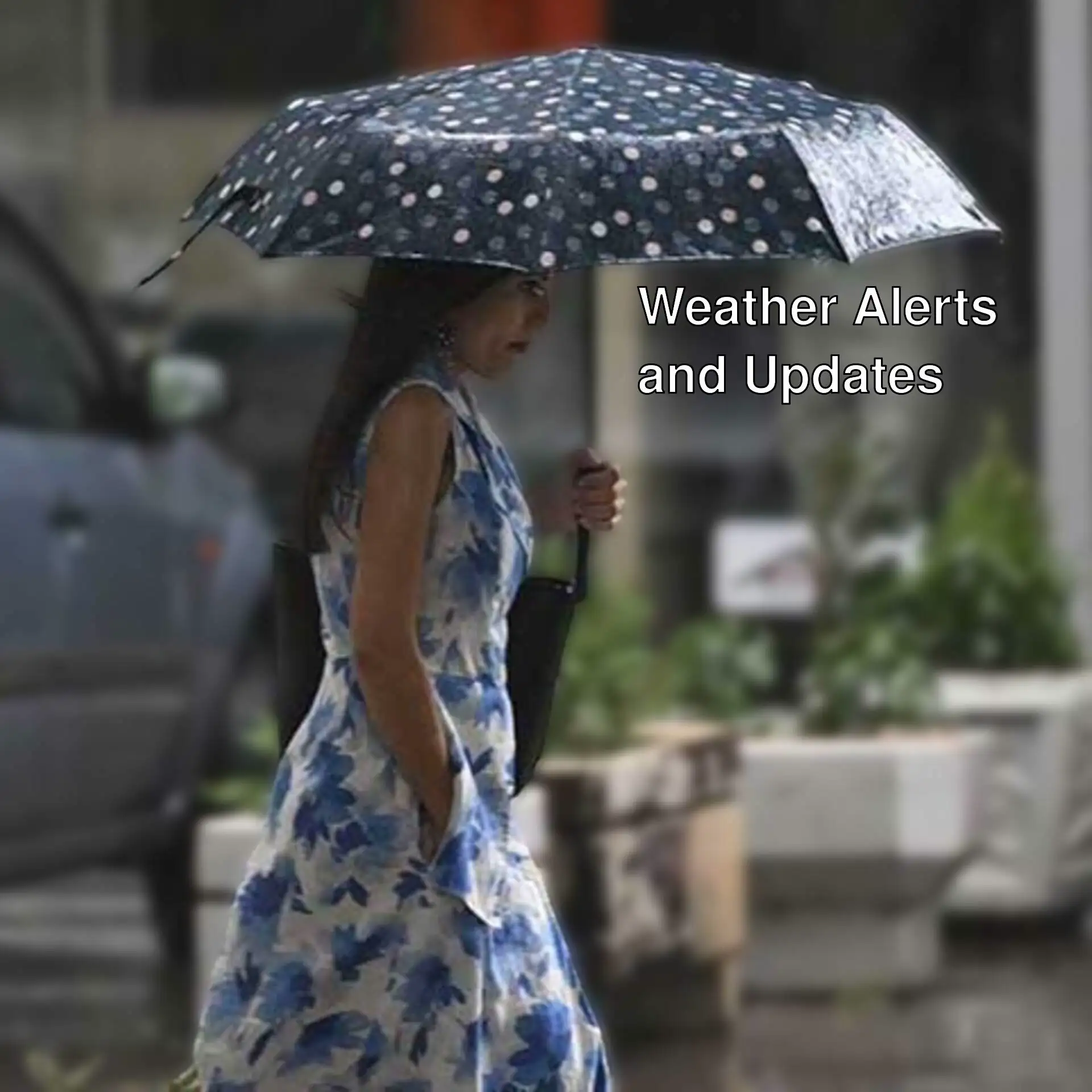 A woman holding an umbrella. A woman holding an umbrella.