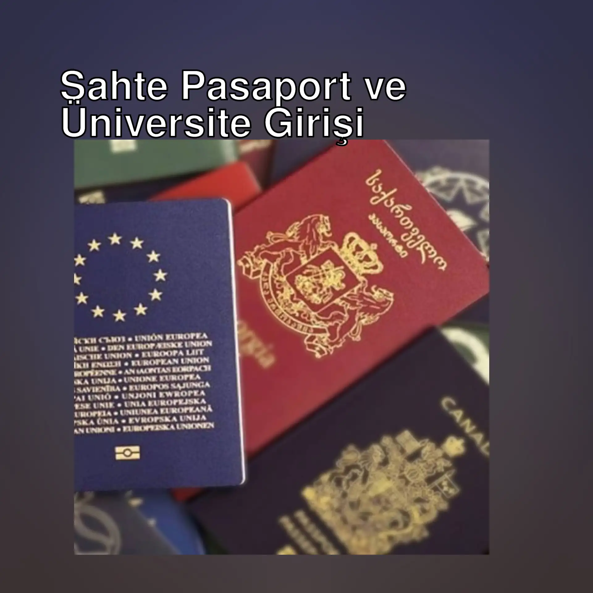 Sahte pasaport sayfaları