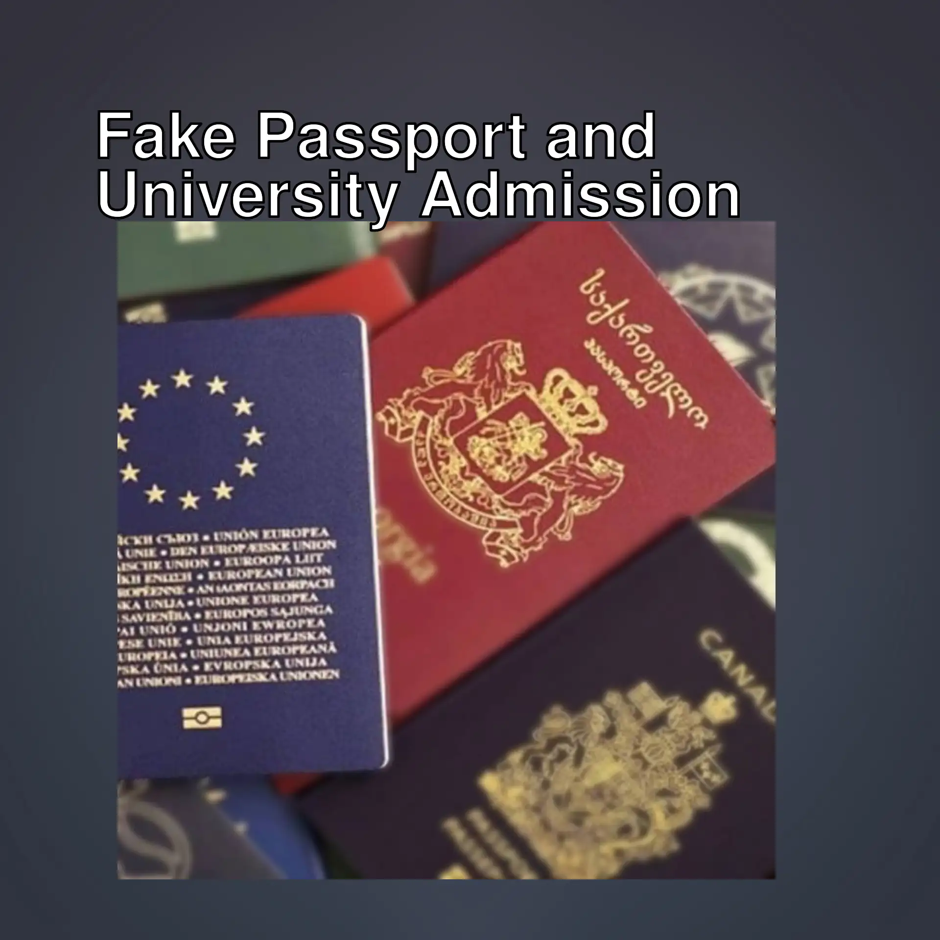 Pages of fake passports