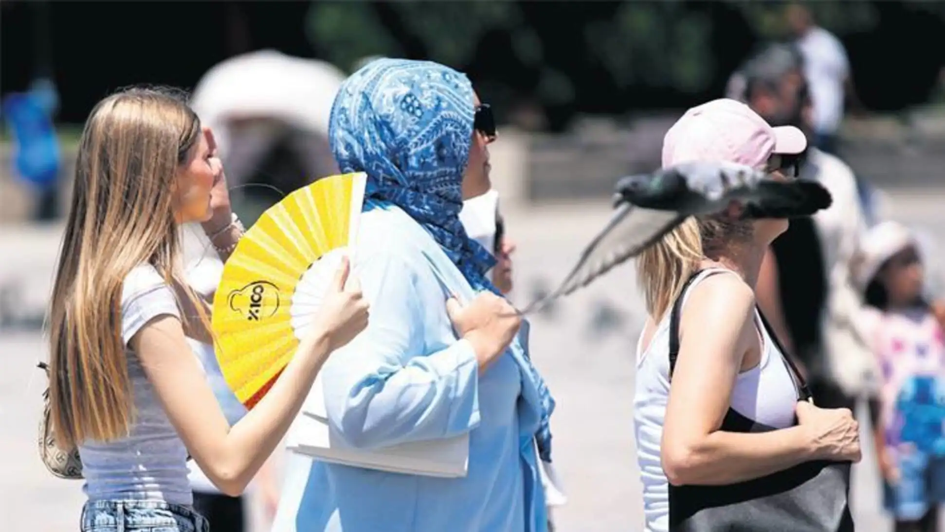 People trying to cool off in parks due to the hot weather. People trying to cool off in parks due to the hot weather.