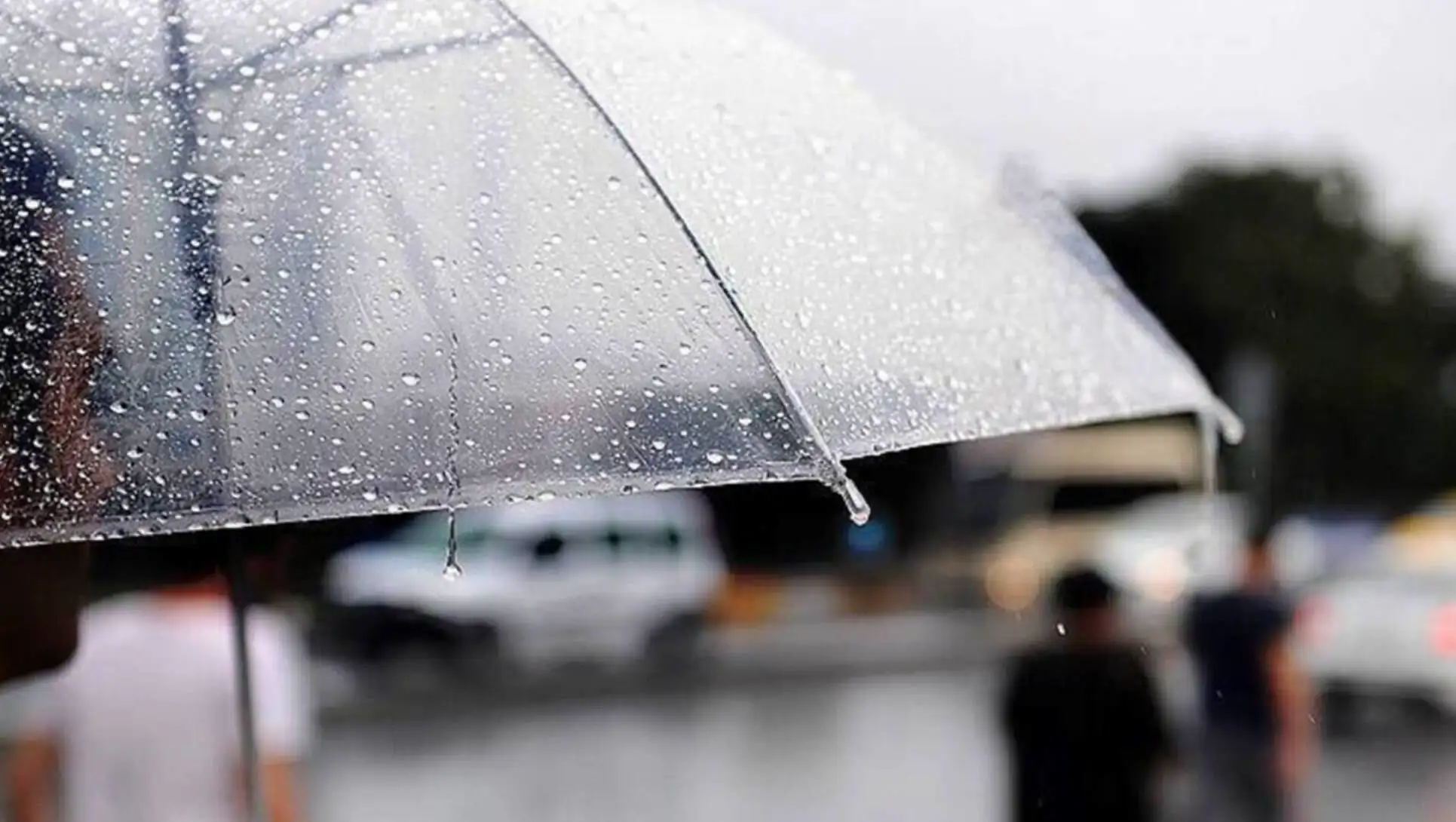 A person holding an umbrella.