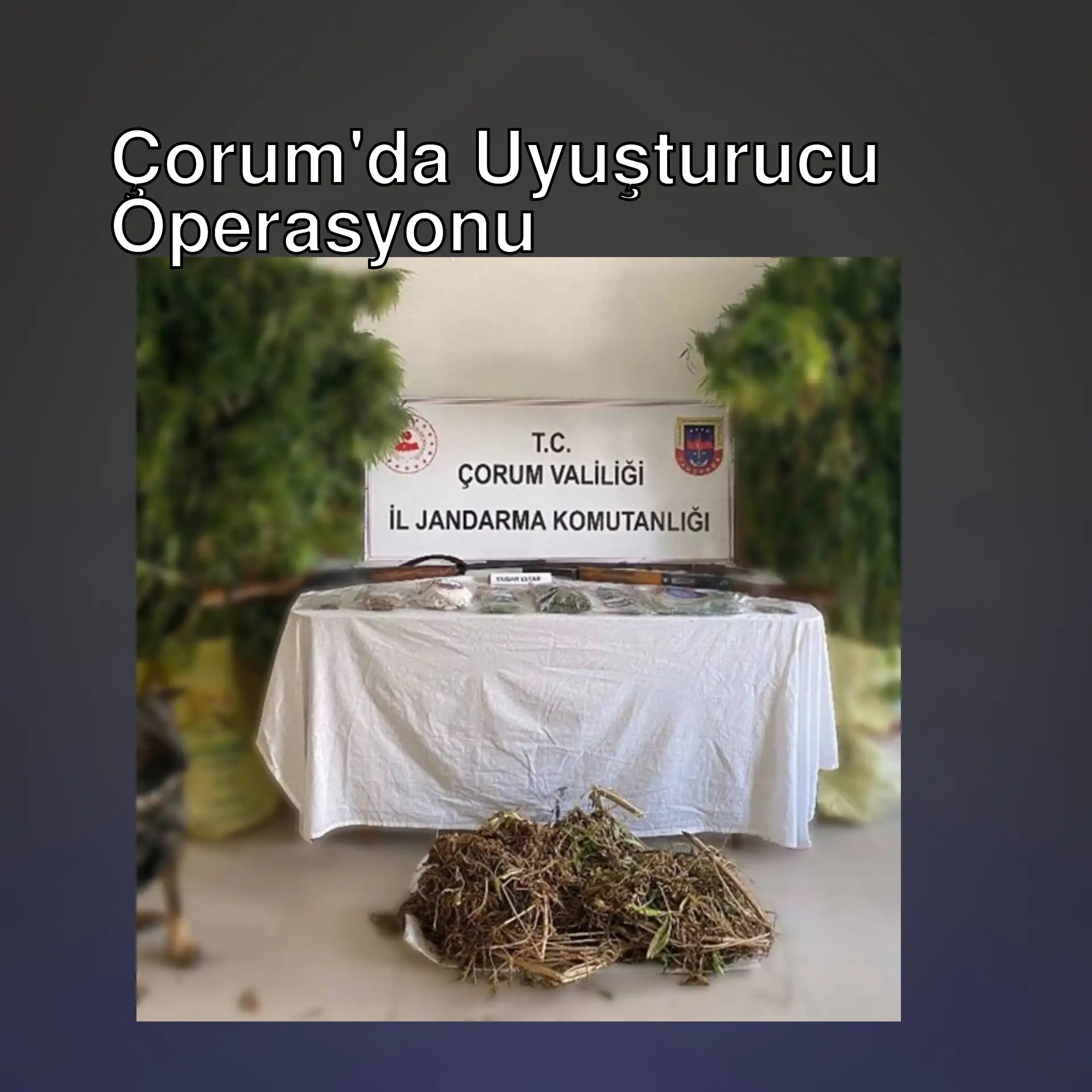 Çorum'da uyuşturucu operasyonu sırasında gözaltına alınan şüpheli.