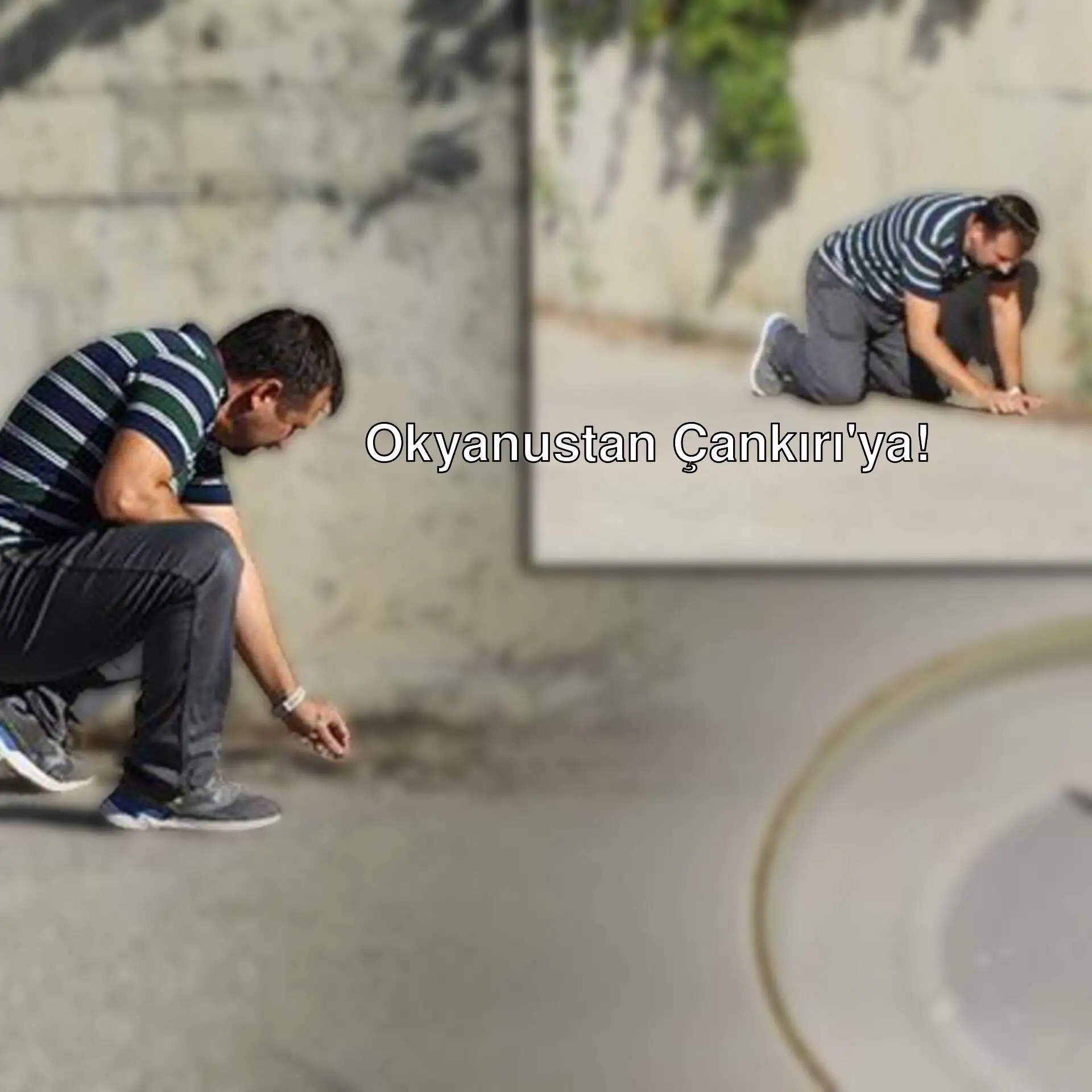 Çankırı'da okyanus iklimine ait kara yosunu keşfi.