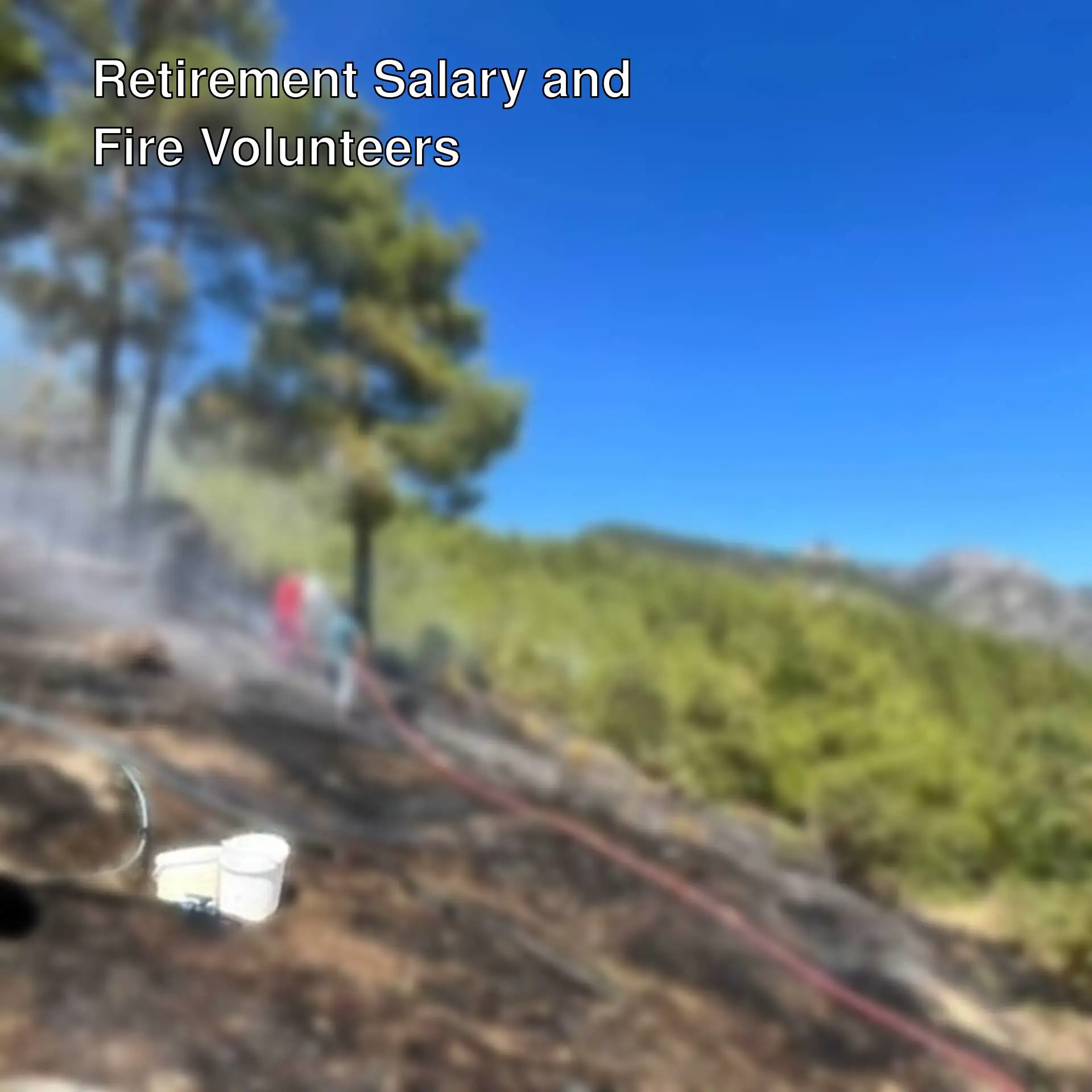 Volunteers working in forest fires. Volunteers working in forest fires.