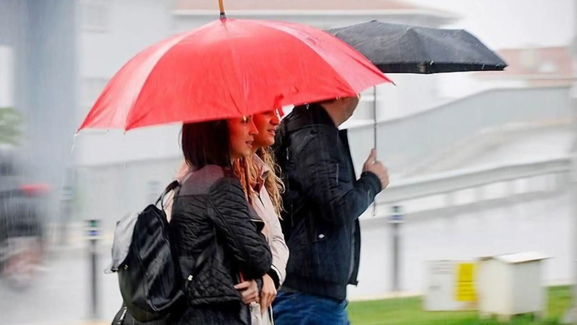 A group of people under umbrellas.
