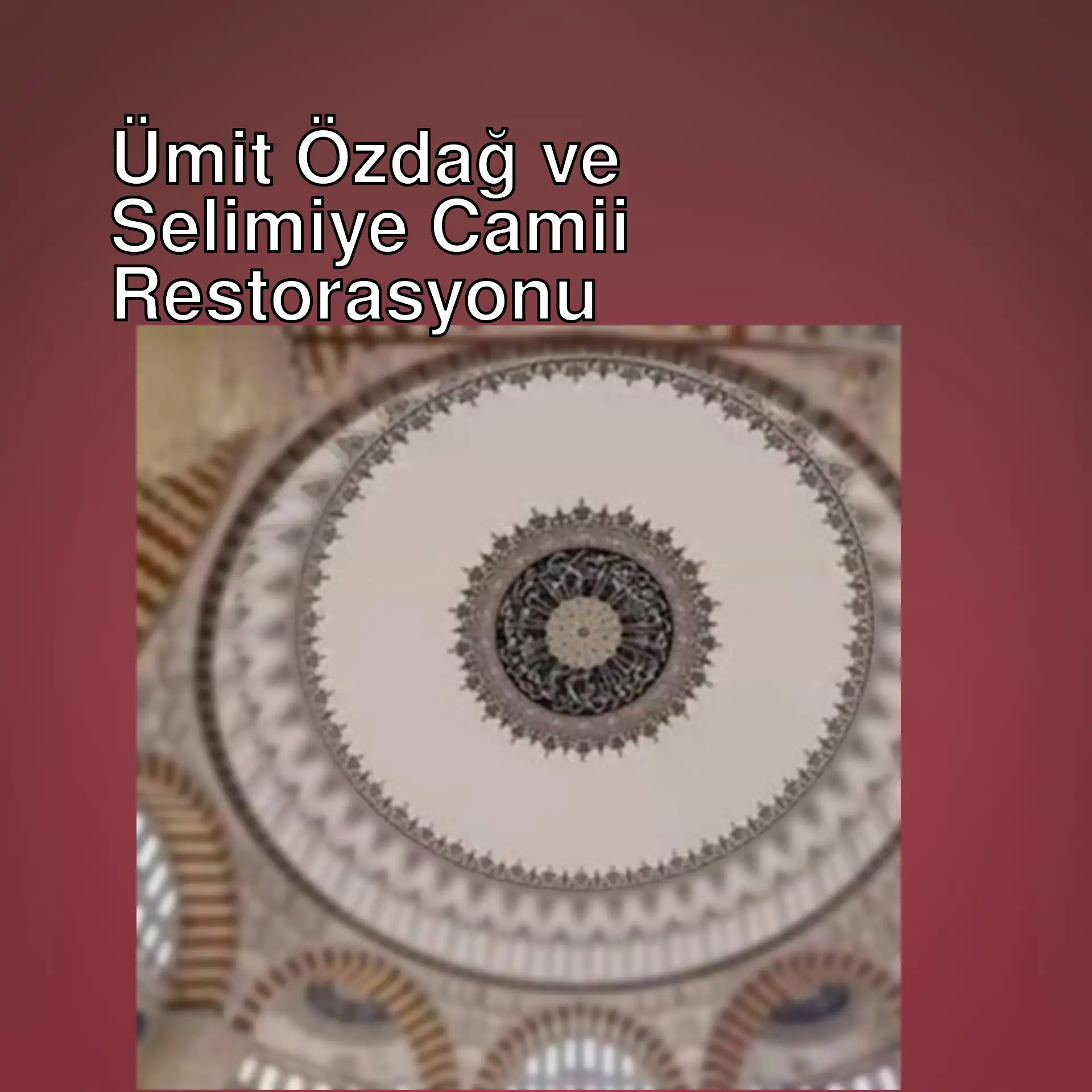 Selimiye Camii kubbesinin restorasyonuna tepki gösteren Ümit Özdağ.