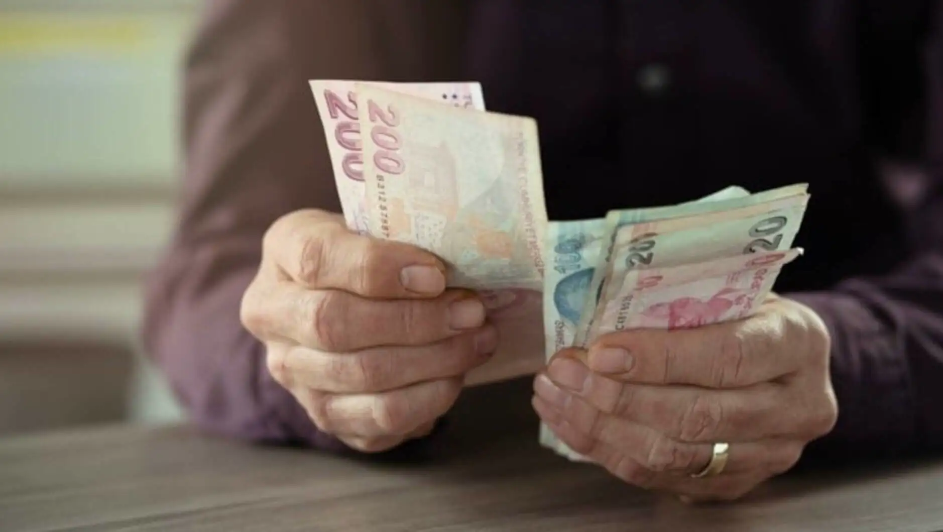 A person holding money in their hands.