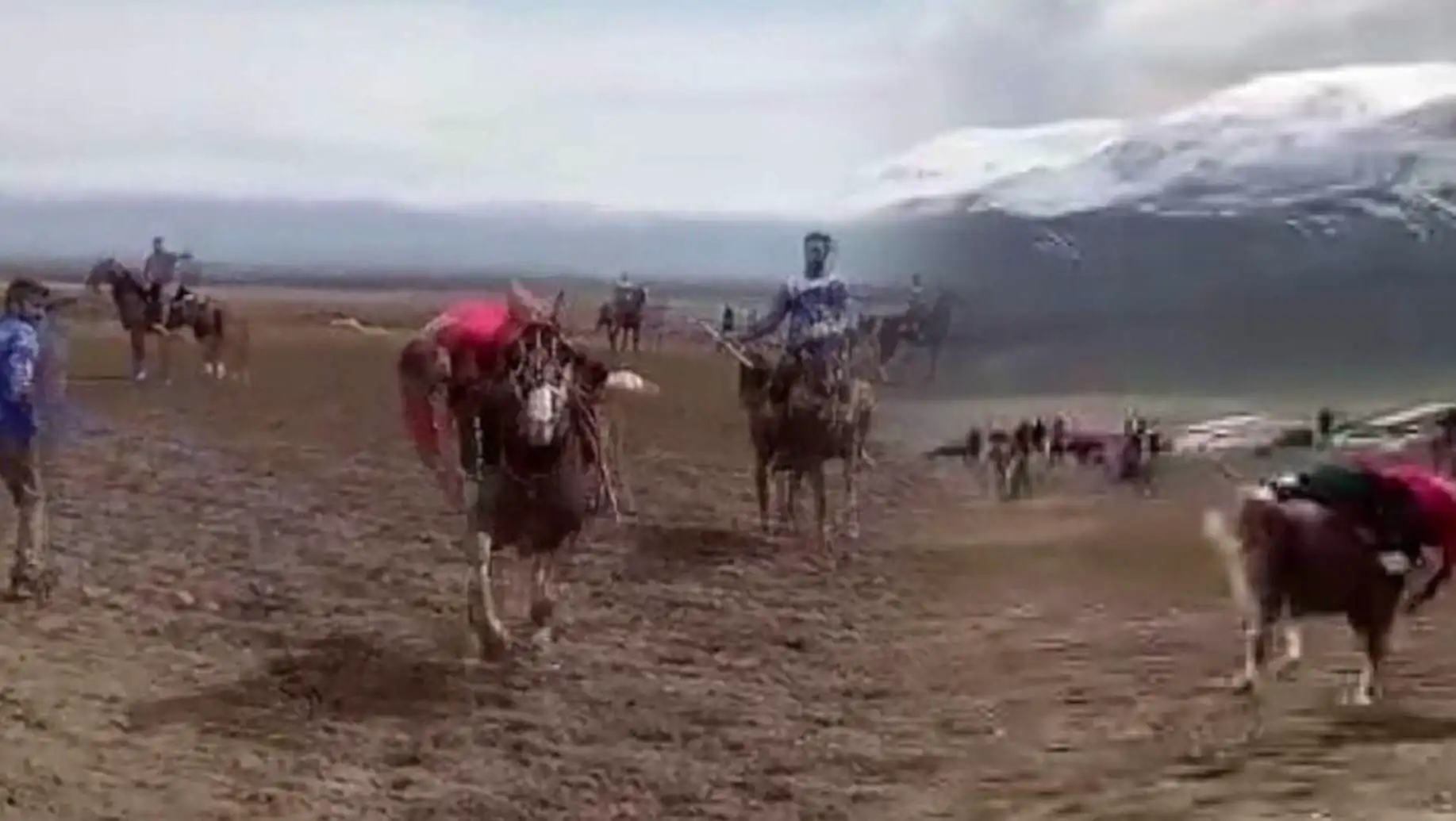A scene from an equestrian sports competition. A scene from an equestrian sports competition.