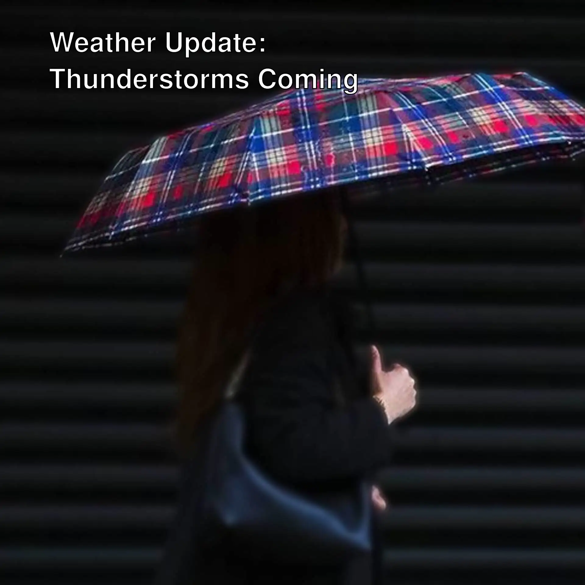 A woman holding an umbrella. A woman holding an umbrella.