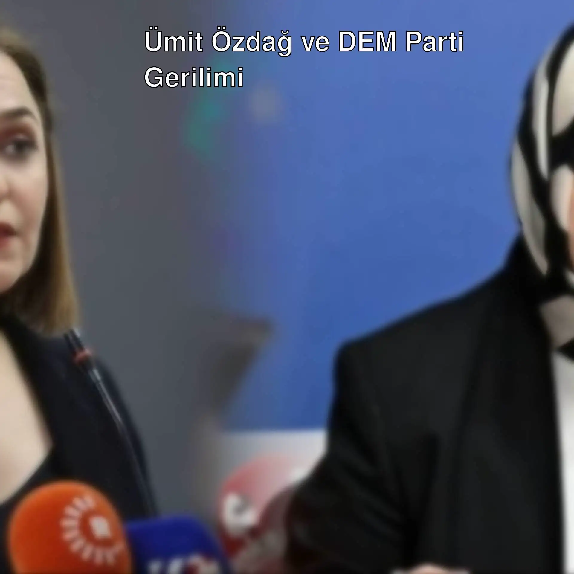 DEM Parti Sözcüsü Ayşegül Doğan basın toplantısında. DEM Parti Sözcüsü Ayşegül Doğan basın toplantısında.