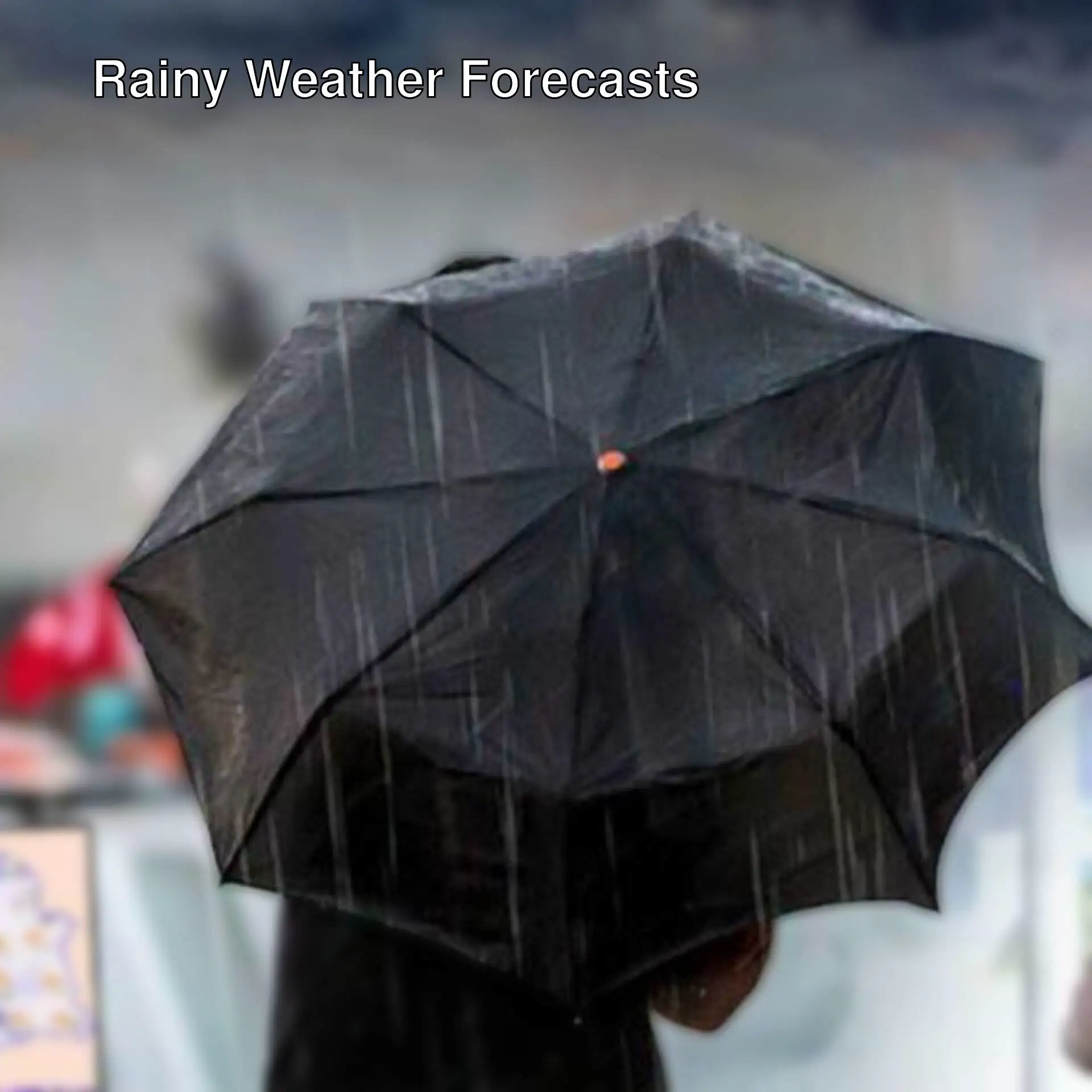 Weather forecasts for rainy days have been announced. Weather forecasts for rainy days have been announced.