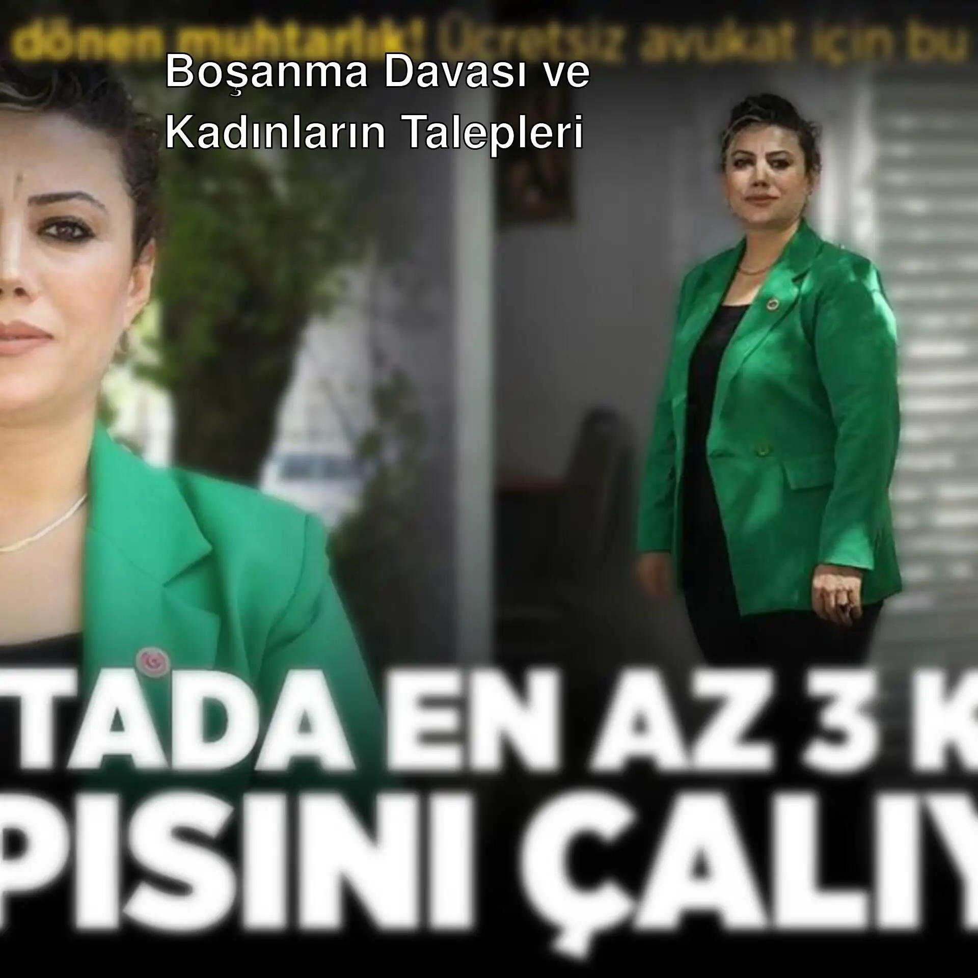 Yeşil ceket giymiş bir kadın Yeşil ceket giymiş bir kadın