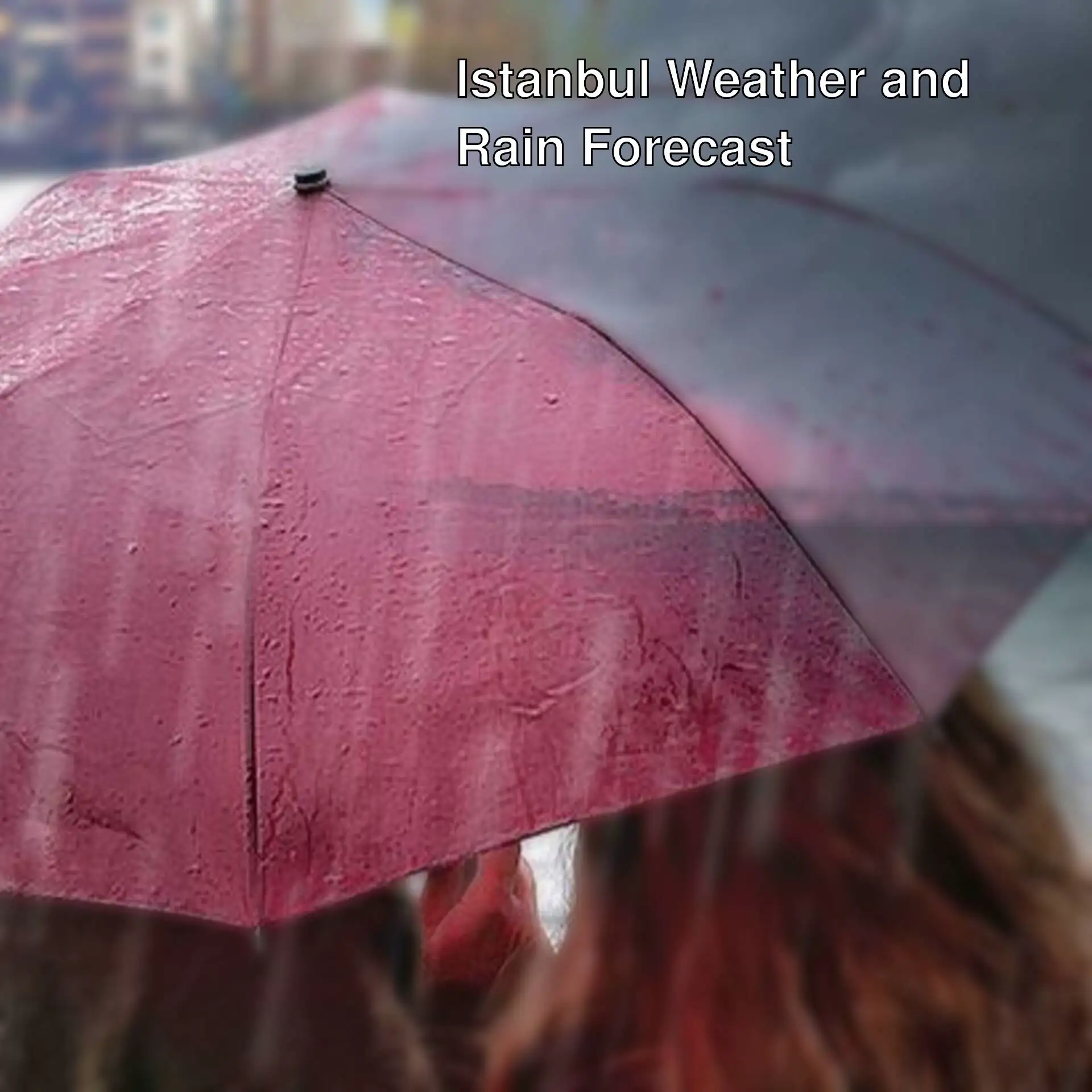 A person holding an umbrella. A person holding an umbrella.